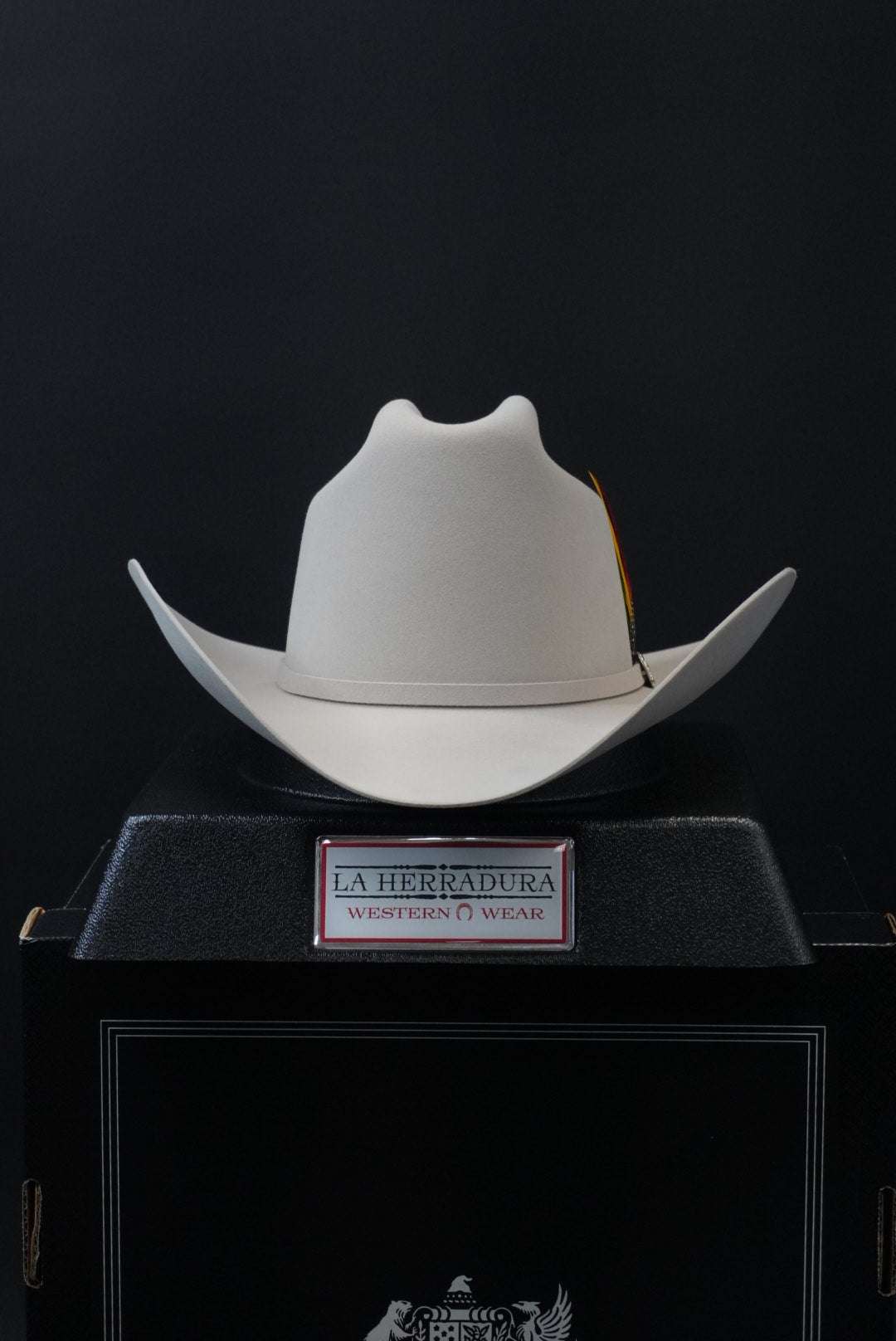 STETSON 30X EL PATRON SILVER BELLY Copa Alta Laherradurawwnc.com