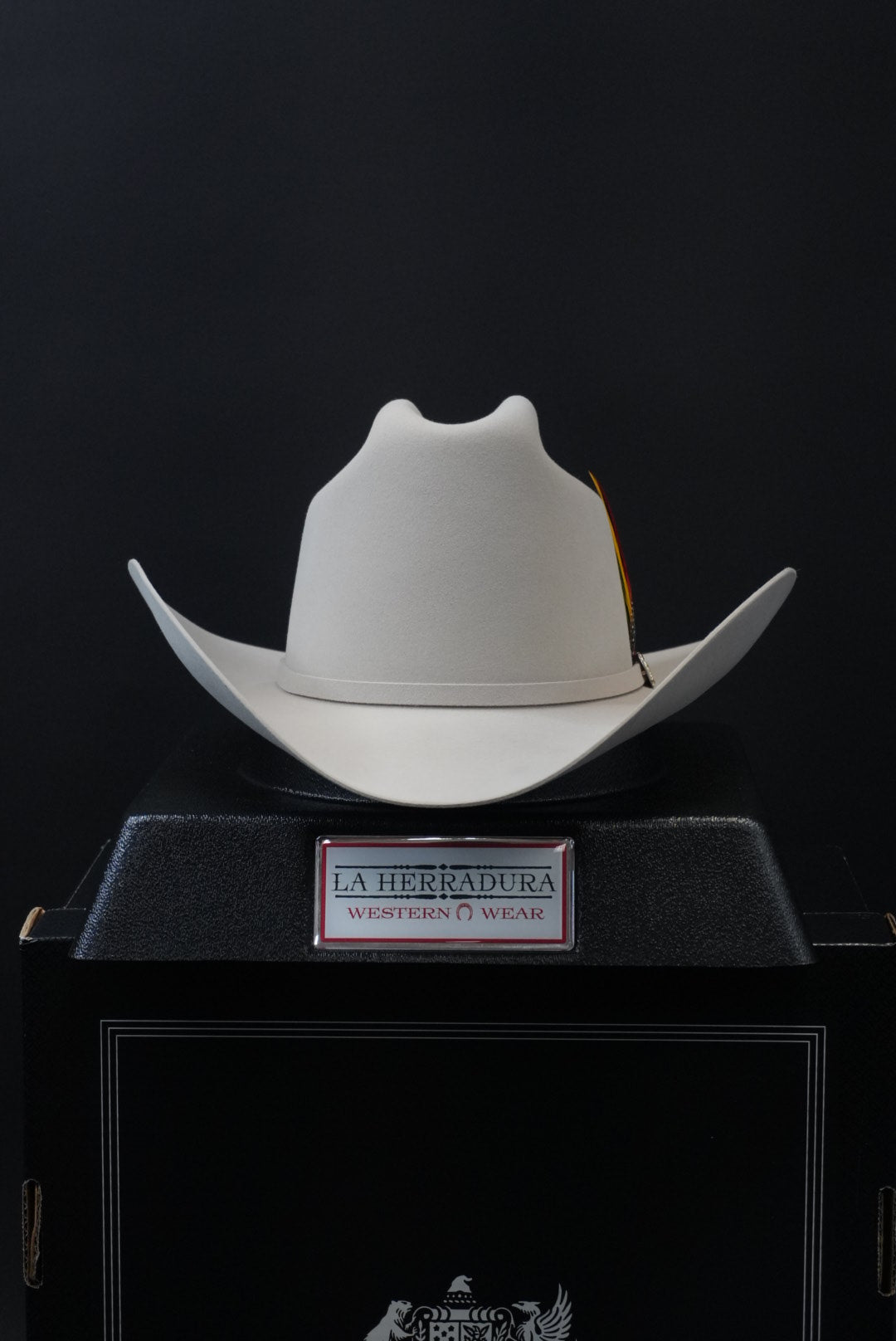 STETSON 30X EL PATRON SILVER BELLY