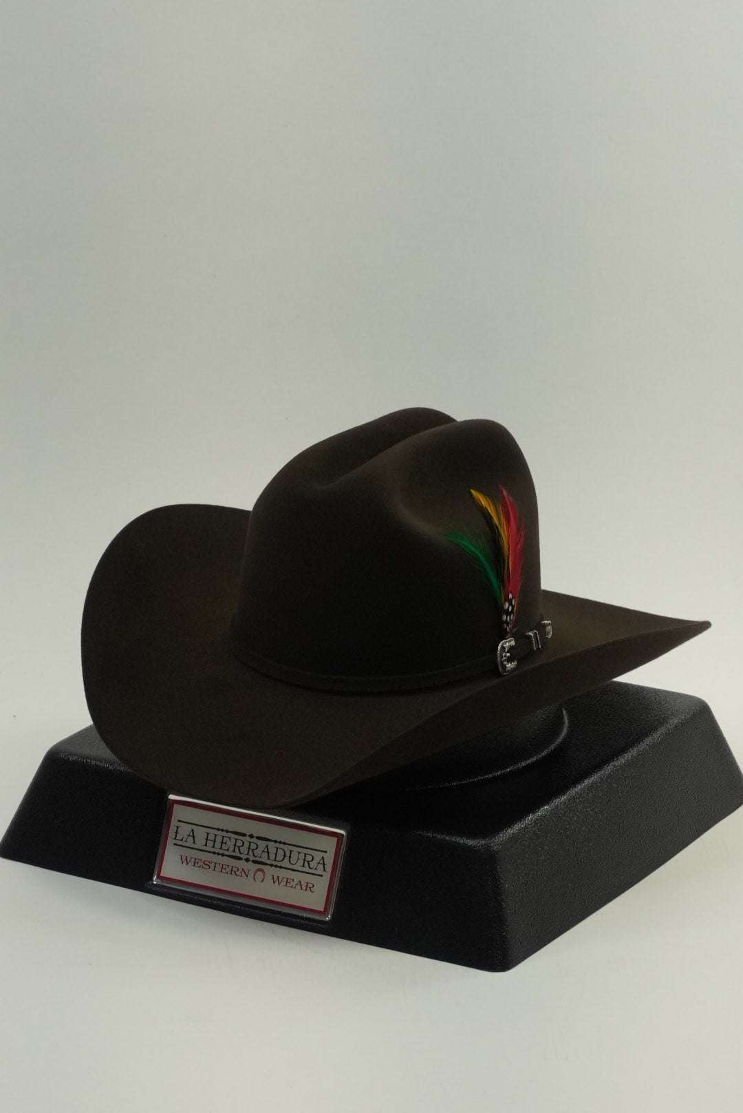 STETSON 6X SKYLINE TRADICIONAL CHOCOLATE Laherradurawwnc.com