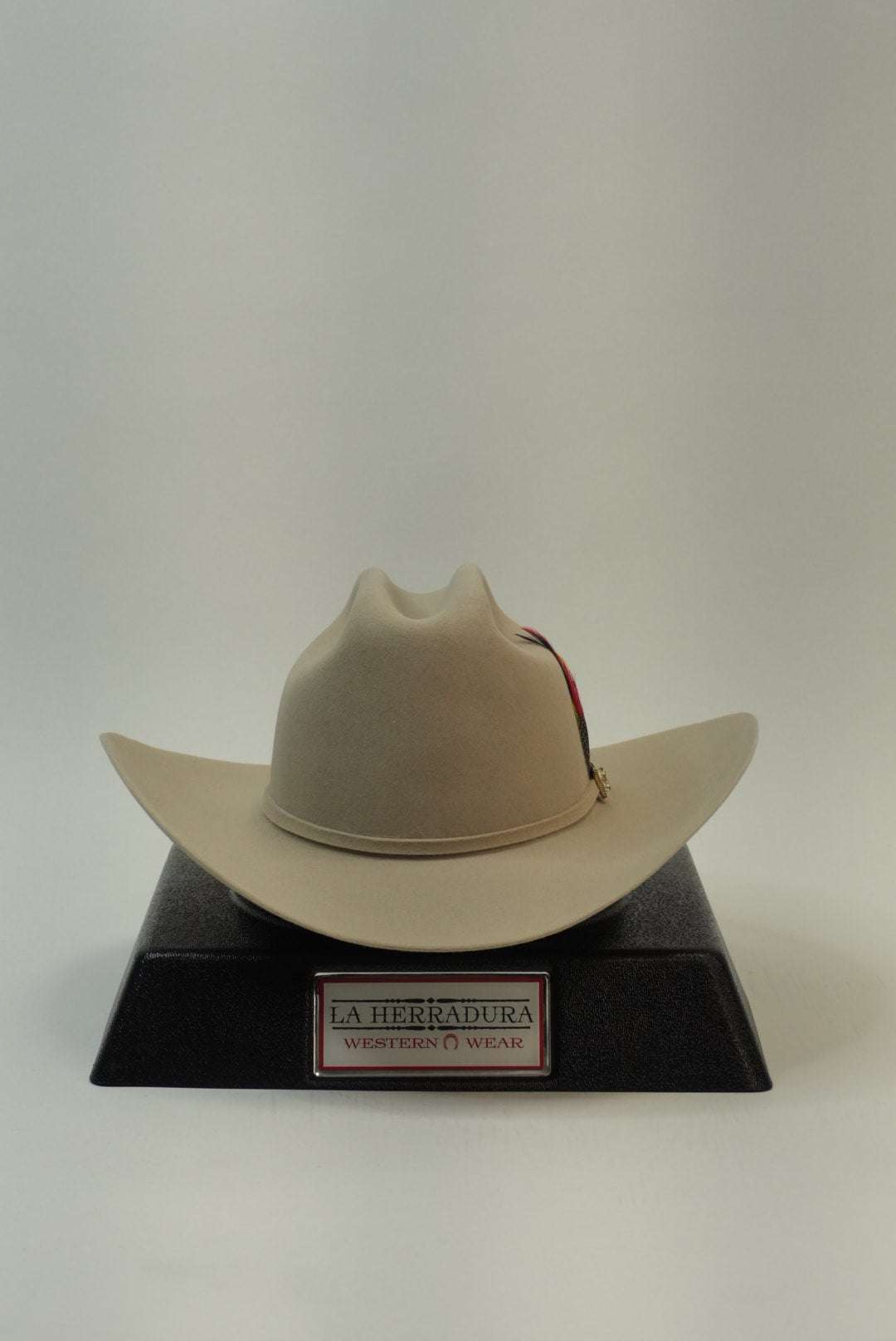 STETSON 6X GUADALUPANA SILVER BELLY Laherradurawwnc.com