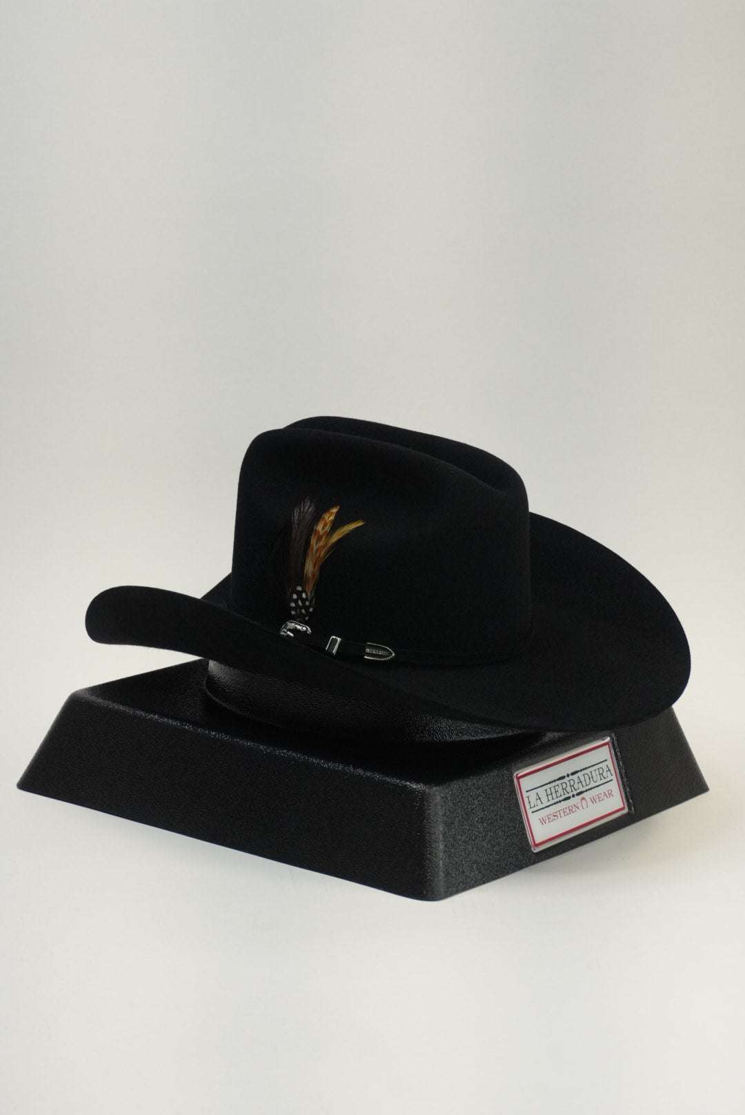 STETSON 6X SKYLINE TRADICIONAL BLACK Laherradurawwnc.com