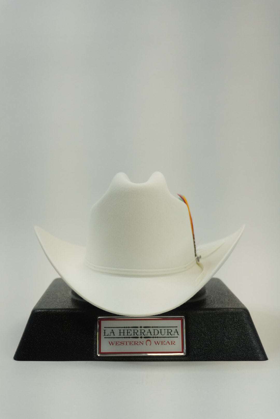 STETSON 6X RANCHER WHITE Laherradurawwnc.com