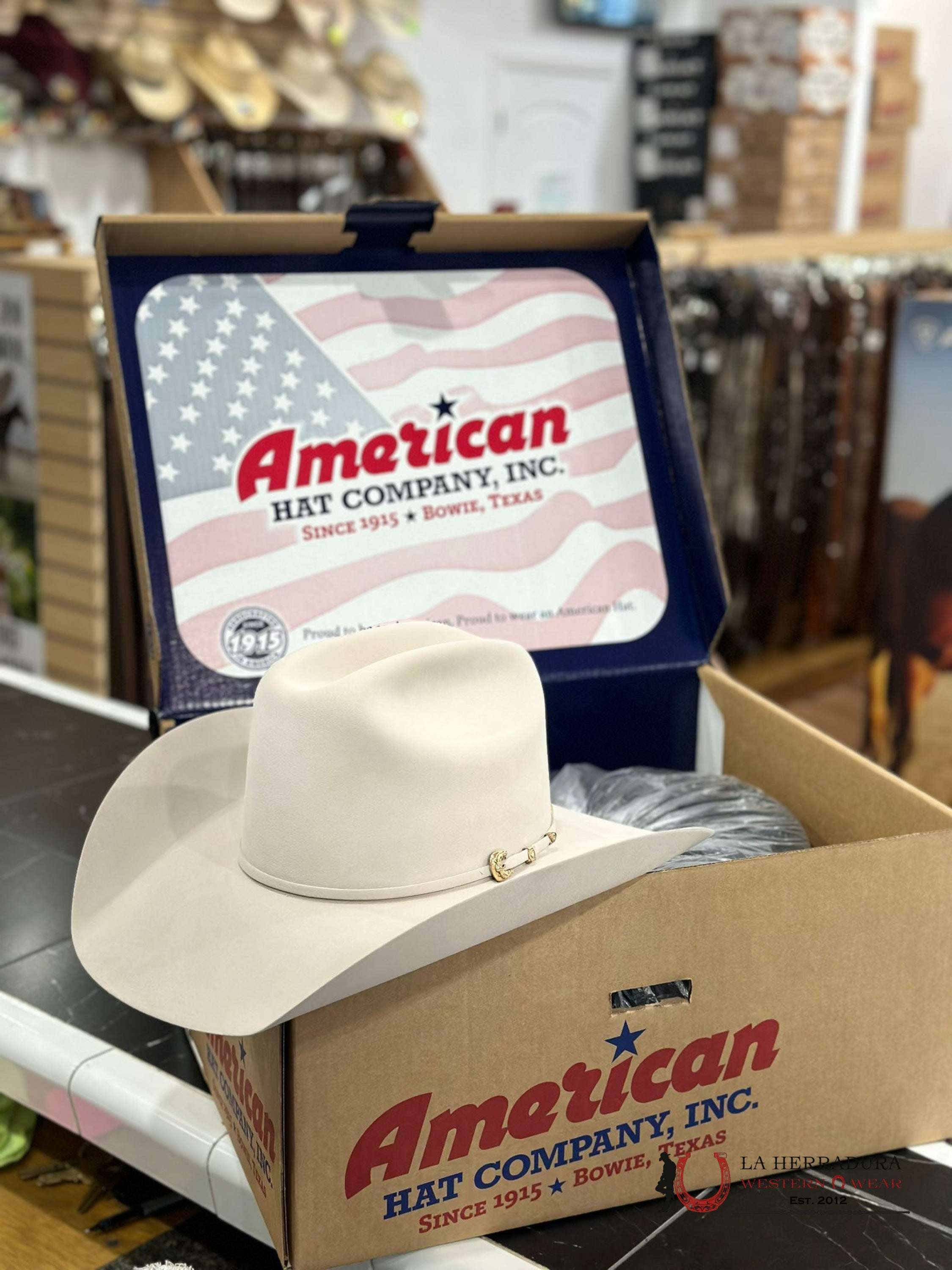 1000X American Felt Hat Silver Belly Tejana