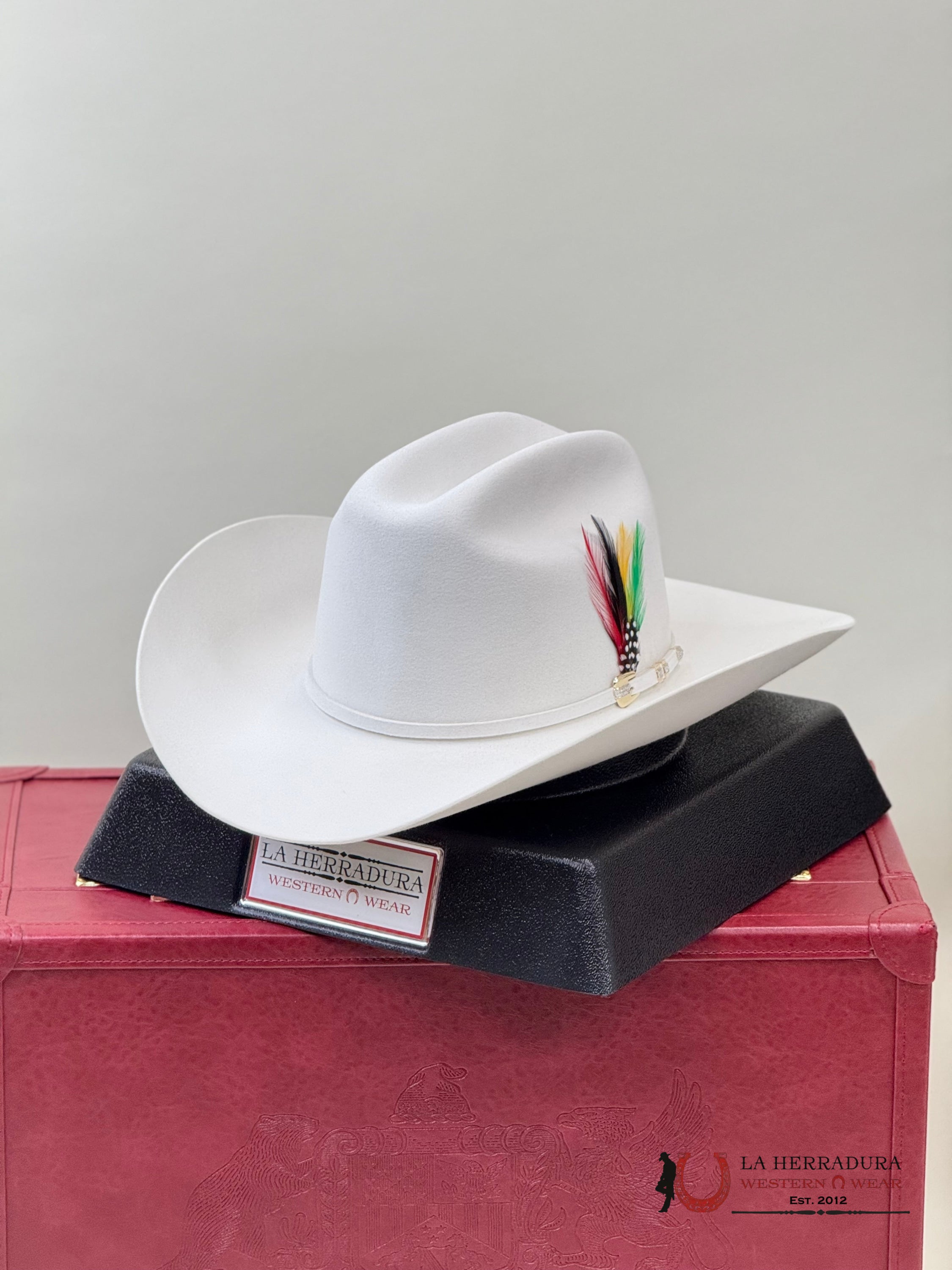 1000X Stetson El Diamante White Blanco Tejana