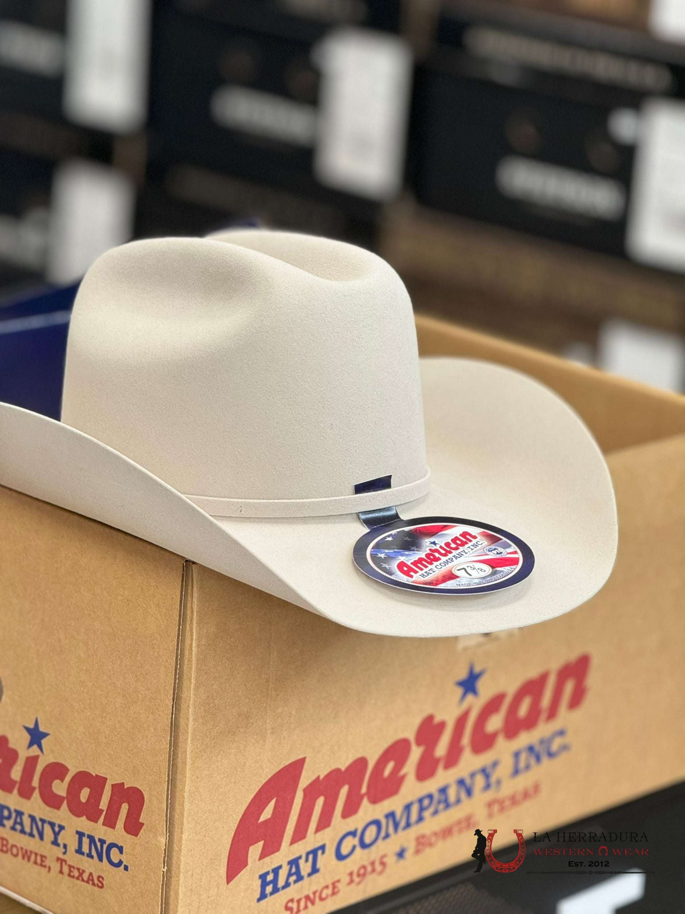 10X American Felt Hat Silverbelly Tejana