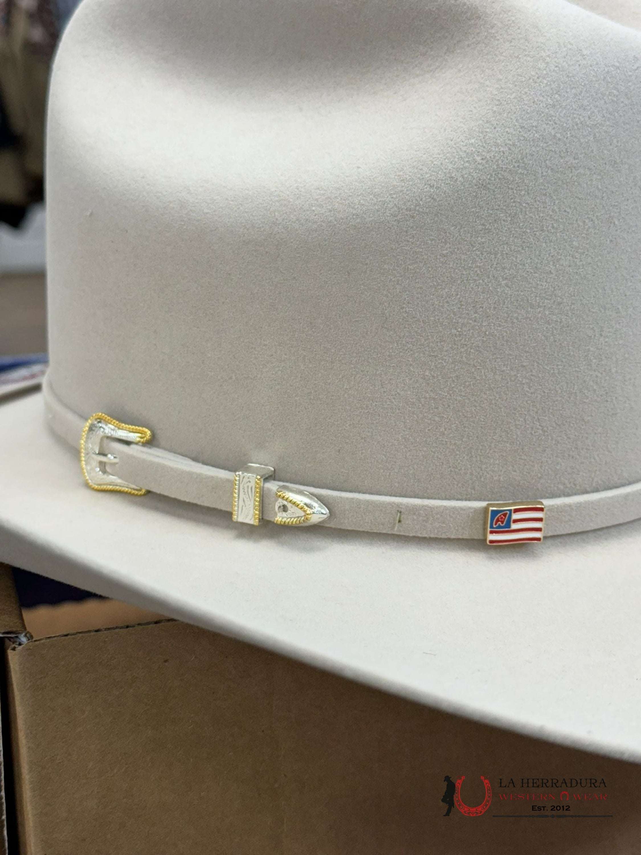 10X American Felt Hat Silverbelly Tejana