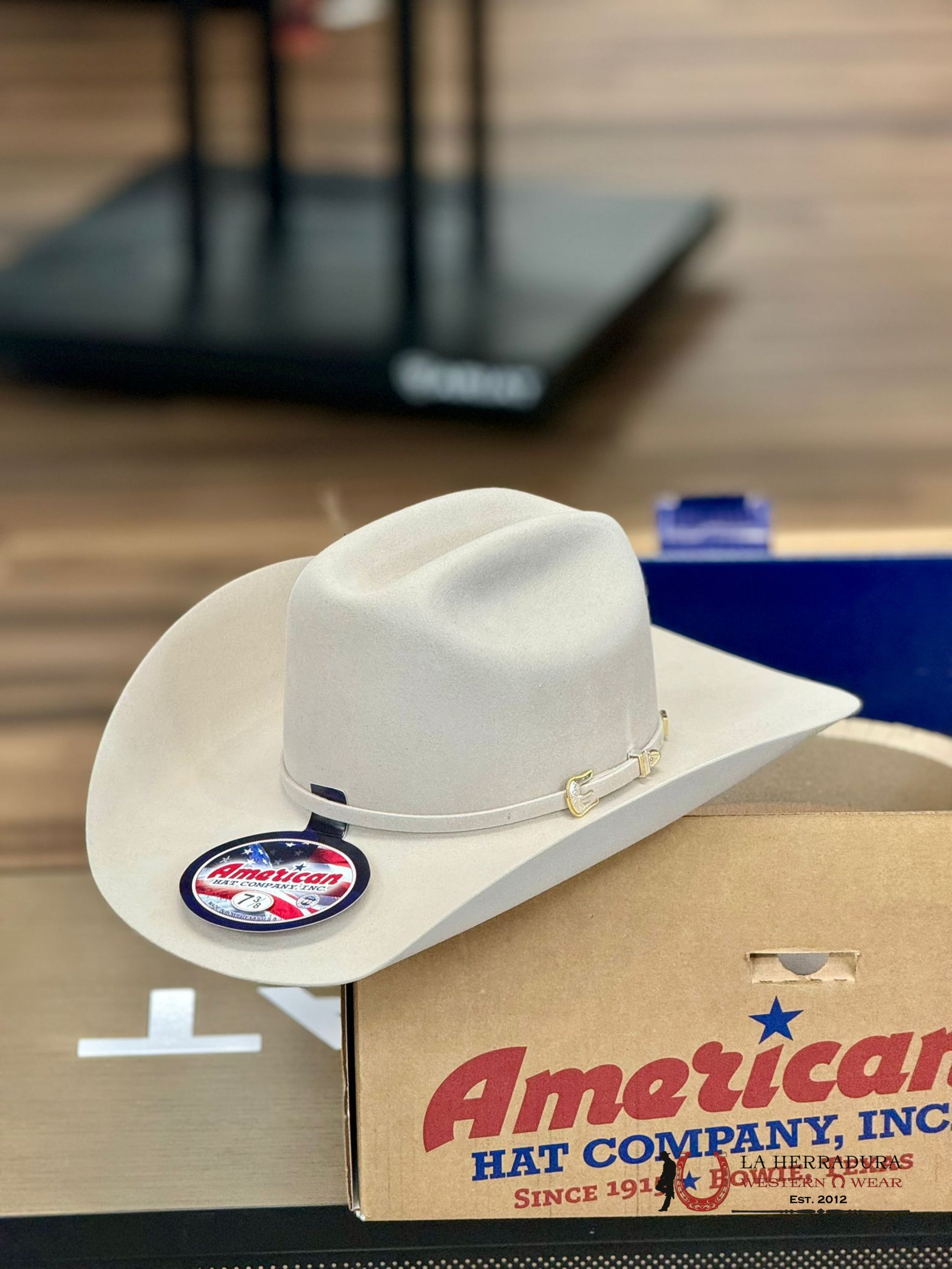 10X American Felt Hat Silverbelly Tejana