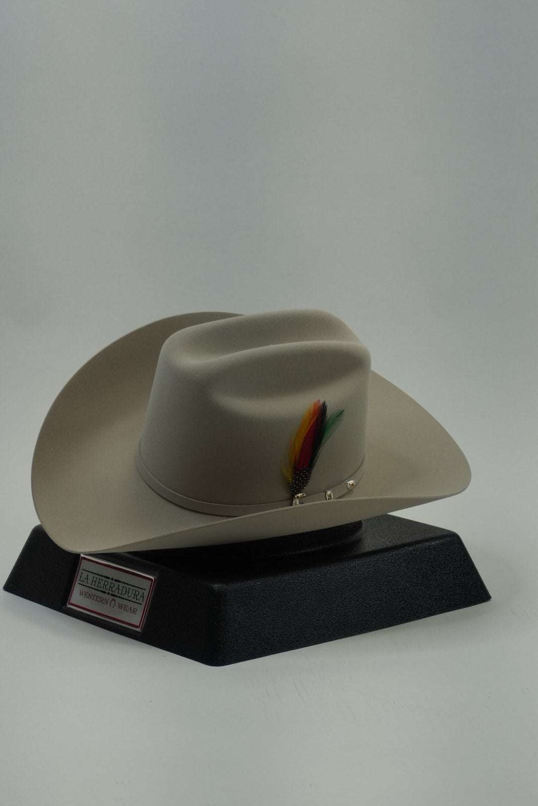 STETSON 30X EL PATRON SILVER BELLY Copa Alta Laherradurawwnc.com