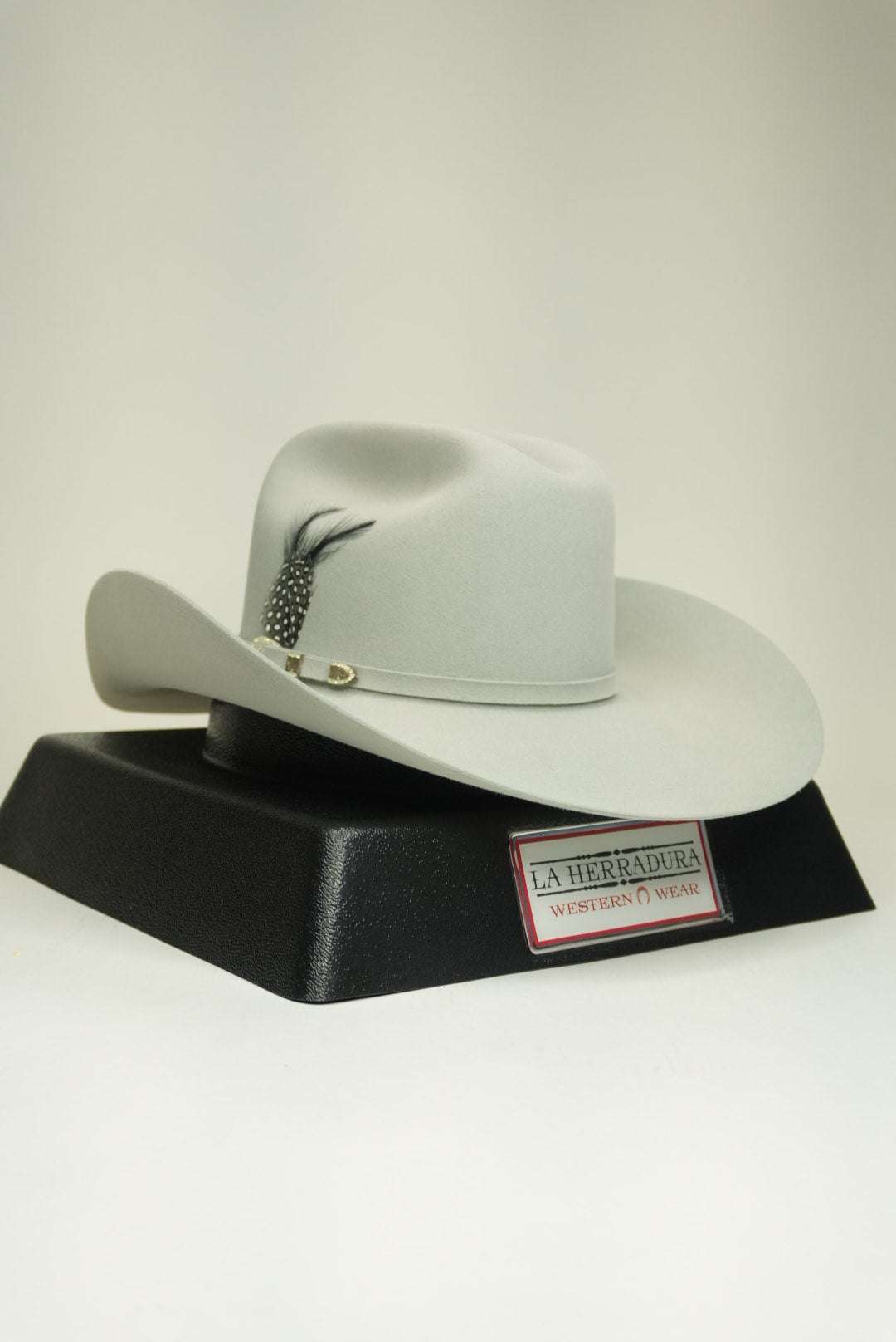 STETSON 10X SHASTA MIST GREY Laherradurawwnc.com