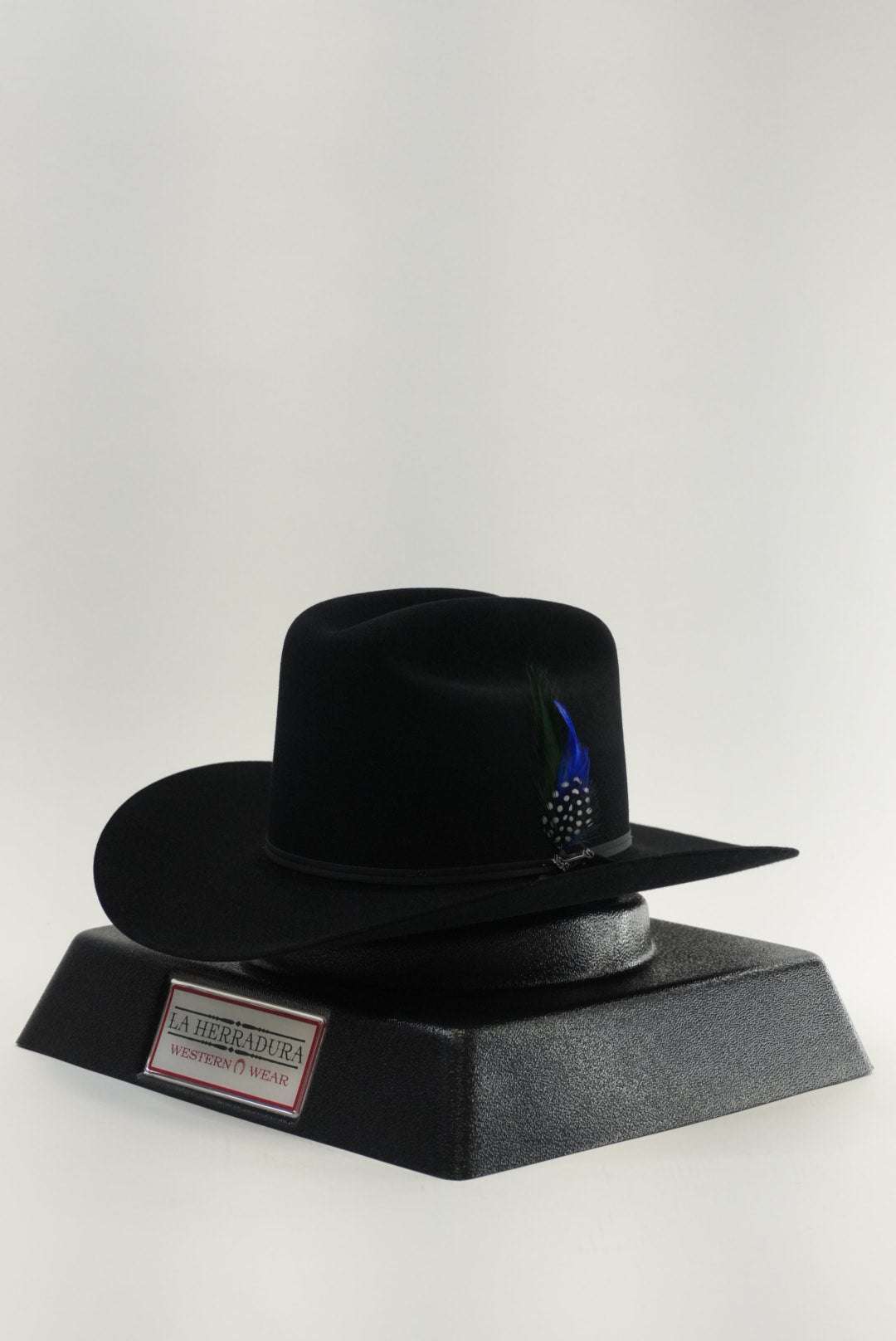 STETSON 6X RANCHER BLACK Laherradurawwnc.com