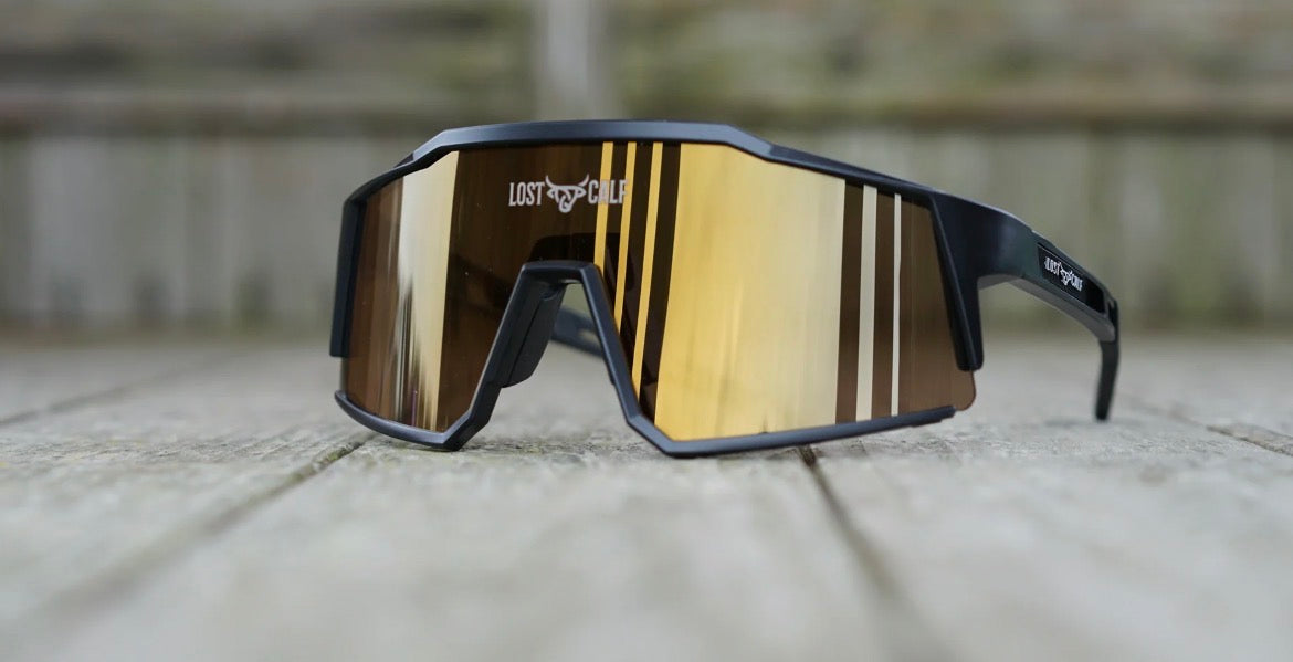 LOST CALF RAPTOR BLACK/GOLD SUNGLASSES
