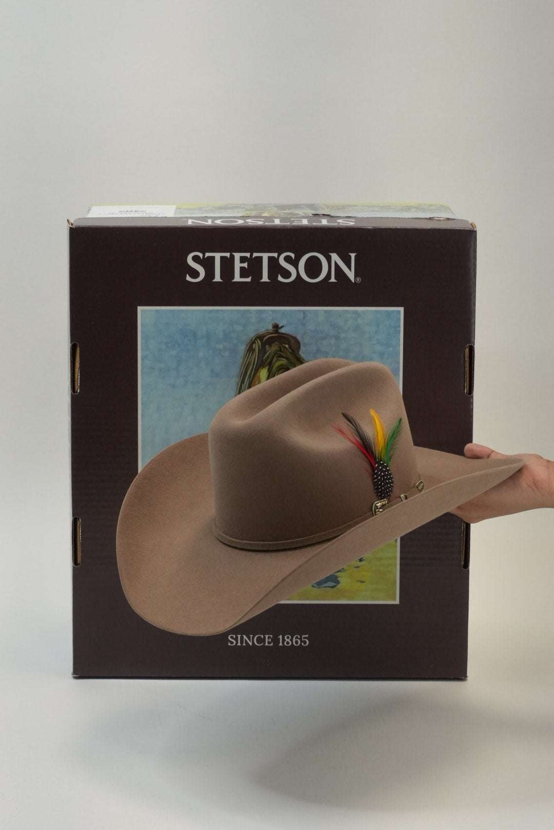 STETSON 6X E5 SKYLINE TRADICIONAL SAHARA Laherradurawwnc.com