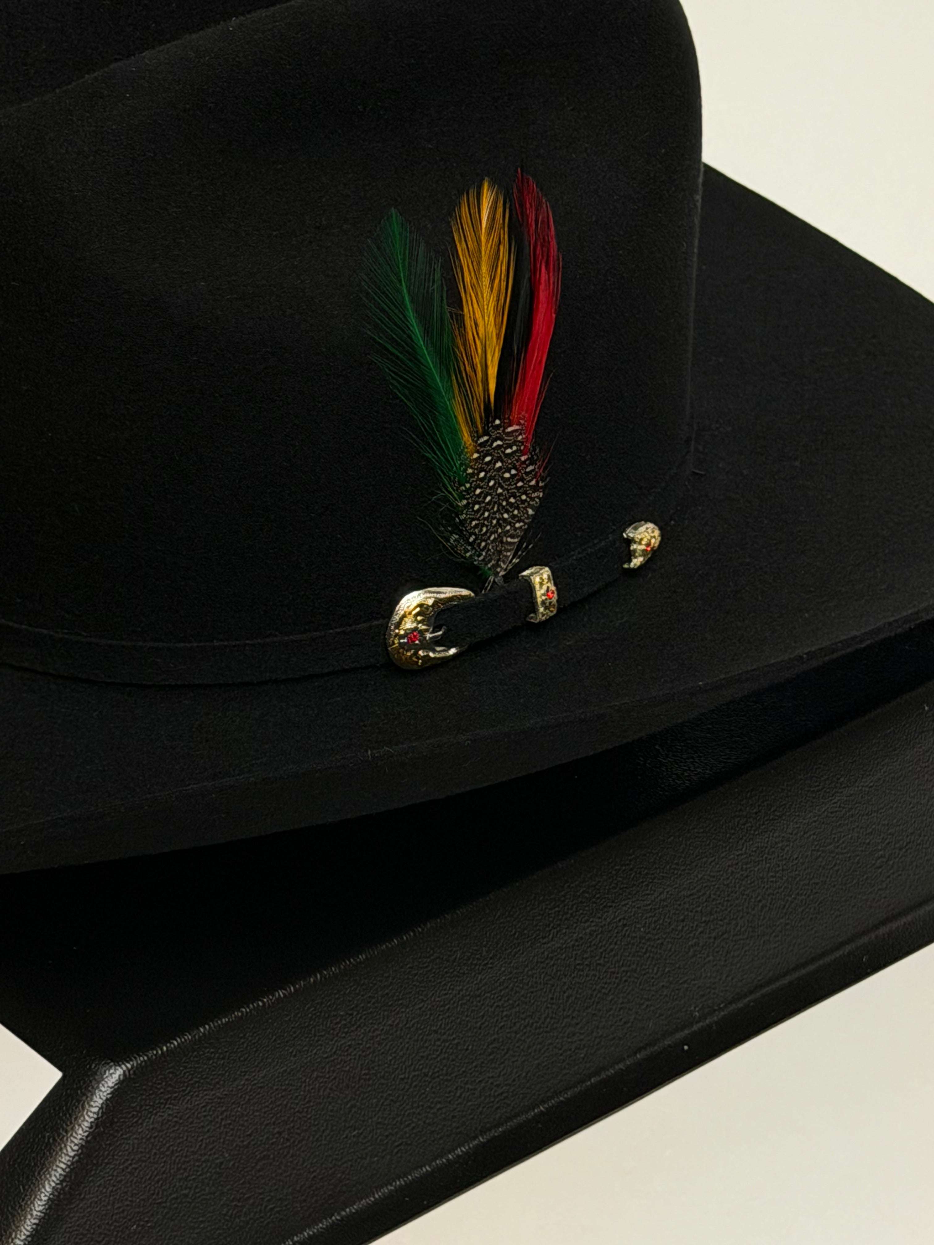 LARRY MAHAN´S 6X REAL BLACK Laherradurawwnc.com
