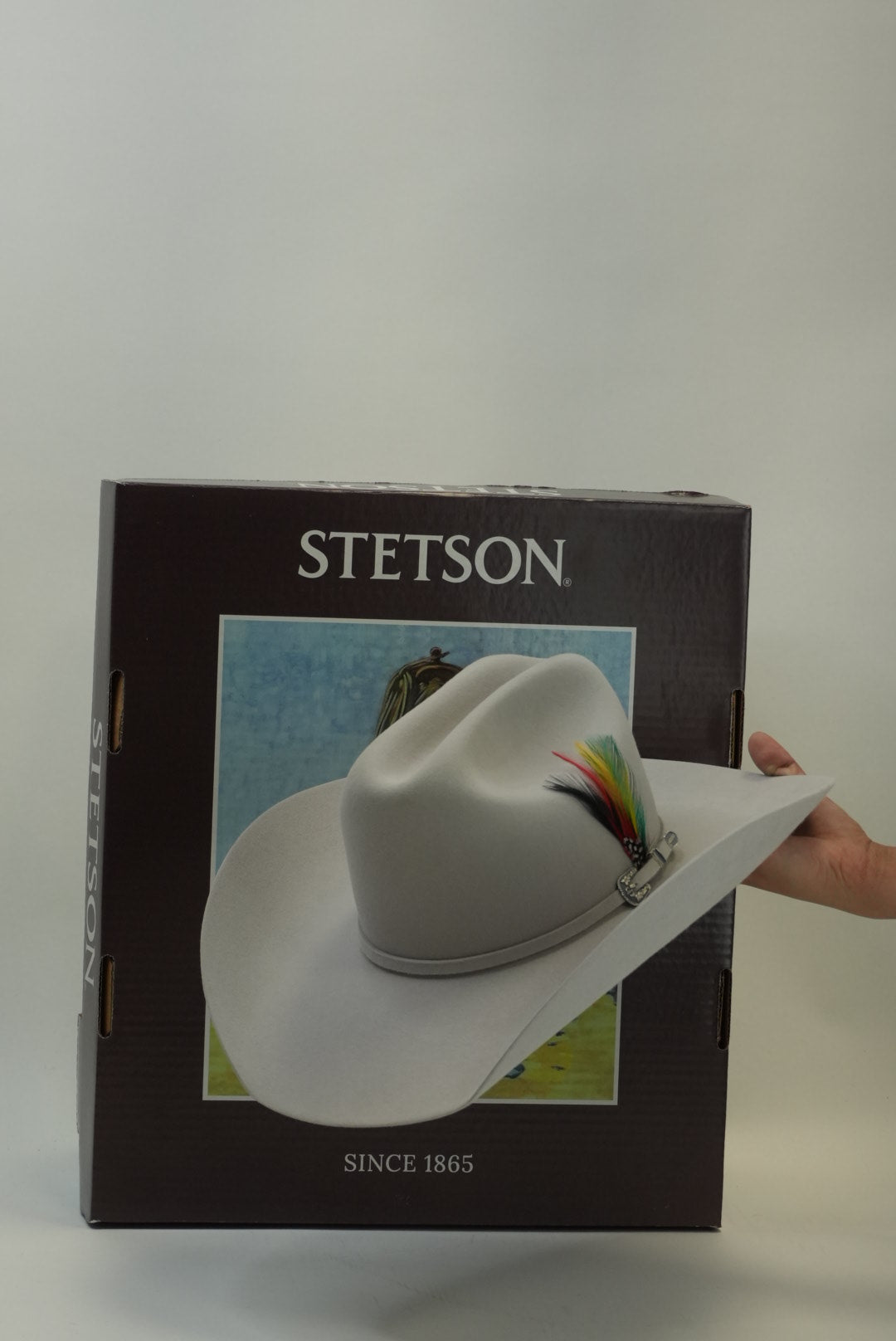 STETSON 6X SILVER BELLY TRADICIONAL