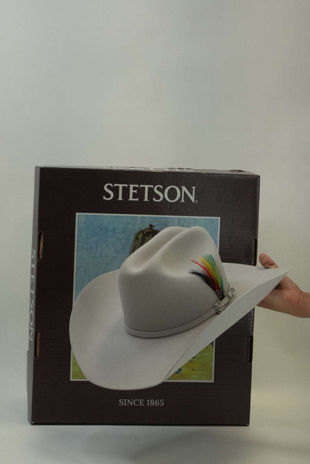 STETSON 6X SKYLINE TRADICIONAL SILVER GREY Laherradurawwnc.com