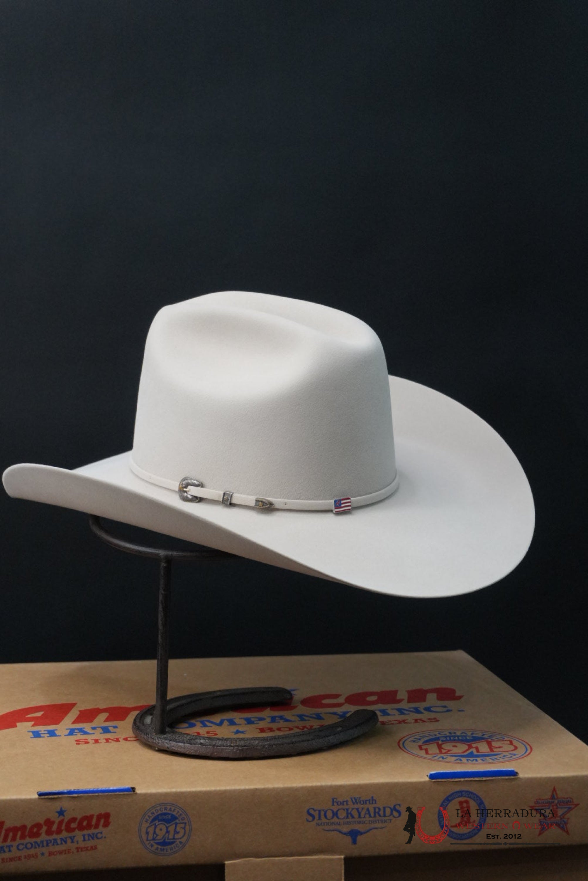 500X American Felt Hat Silver Belly TEJANA