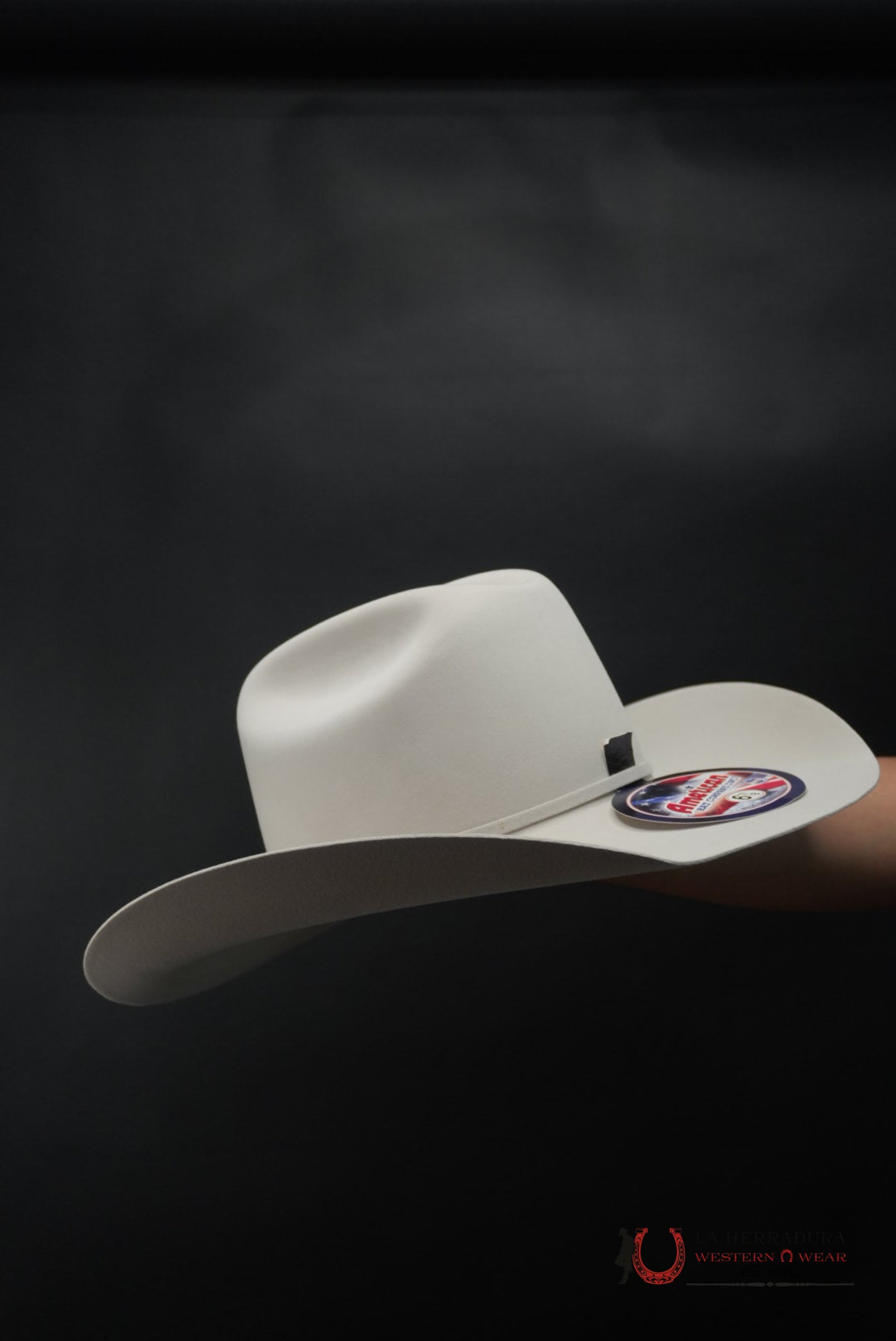500X American Felt Hat Silver Sand TEJANA