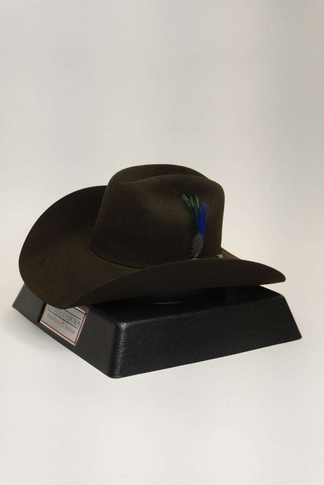 STETSON 10X SHASTA CHOCOLATE Copa Chica Laherradurawwnc.com