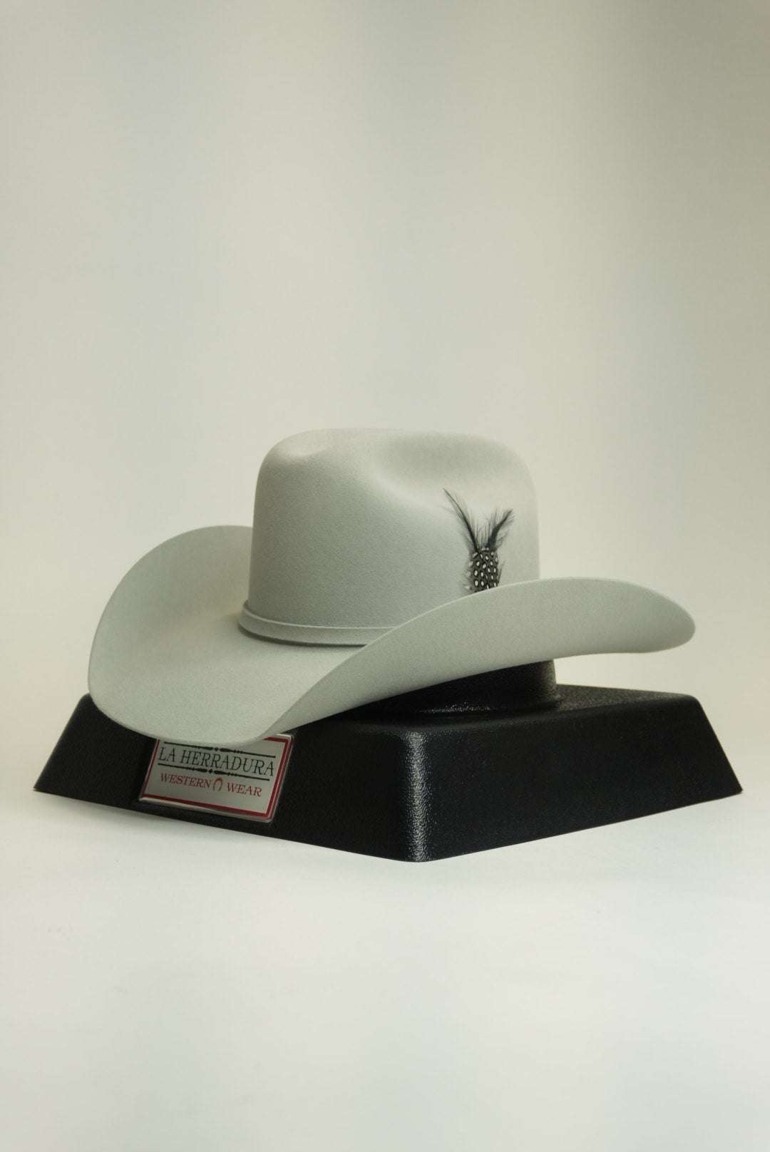 STETSON 10X SHASTA MIST GREY Laherradurawwnc.com