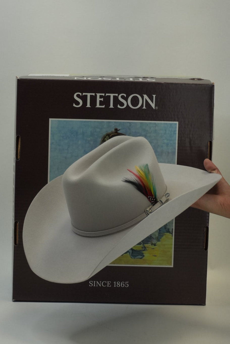 STETSON 6X SKYLINE TRADICIONAL SILVER GREY