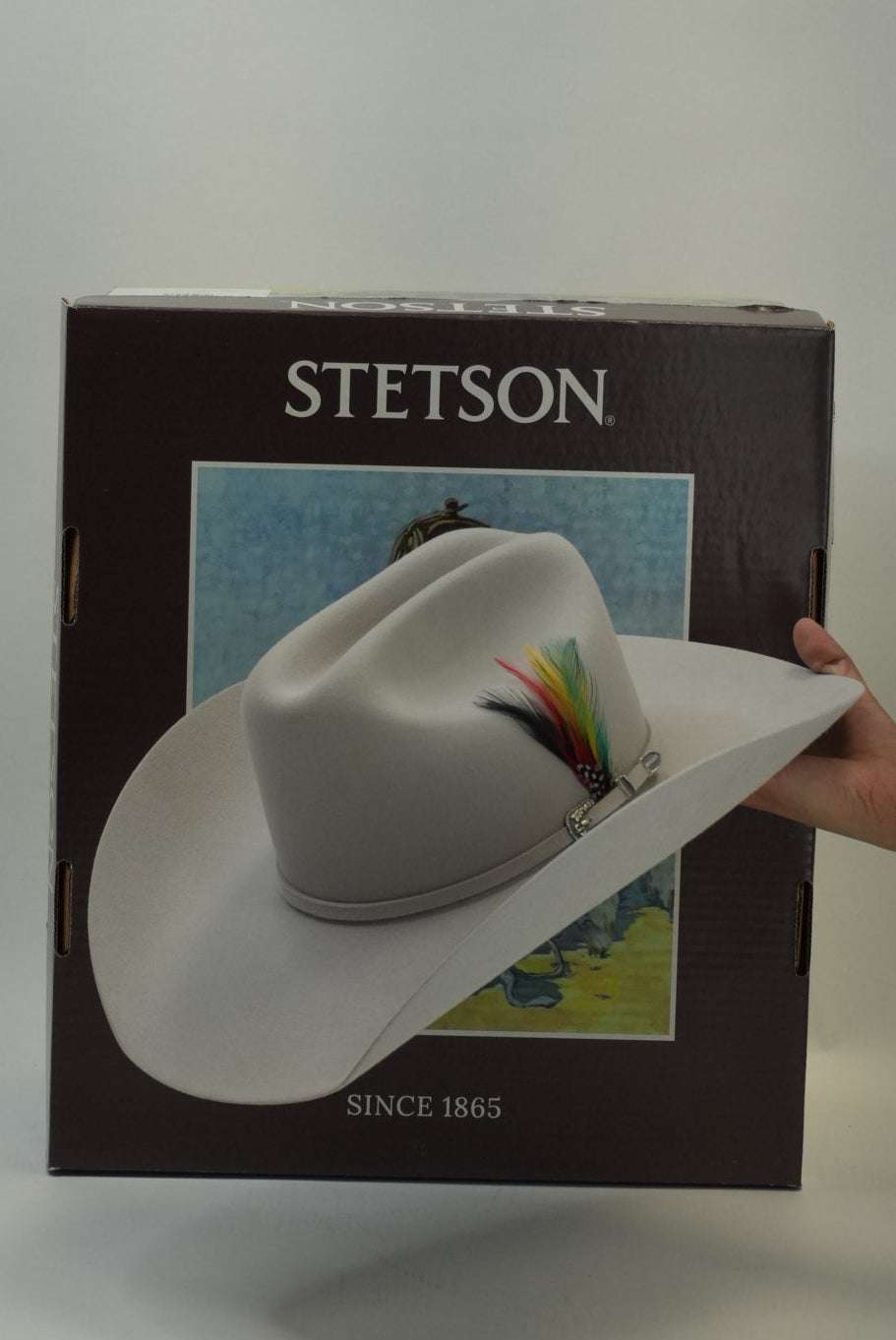 STETSON 6X SKYLINE TRADICIONAL SILVER GREY Laherradurawwnc.com