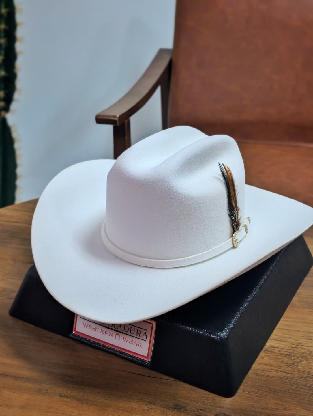 STETSON 6X PALACIO II WHITE