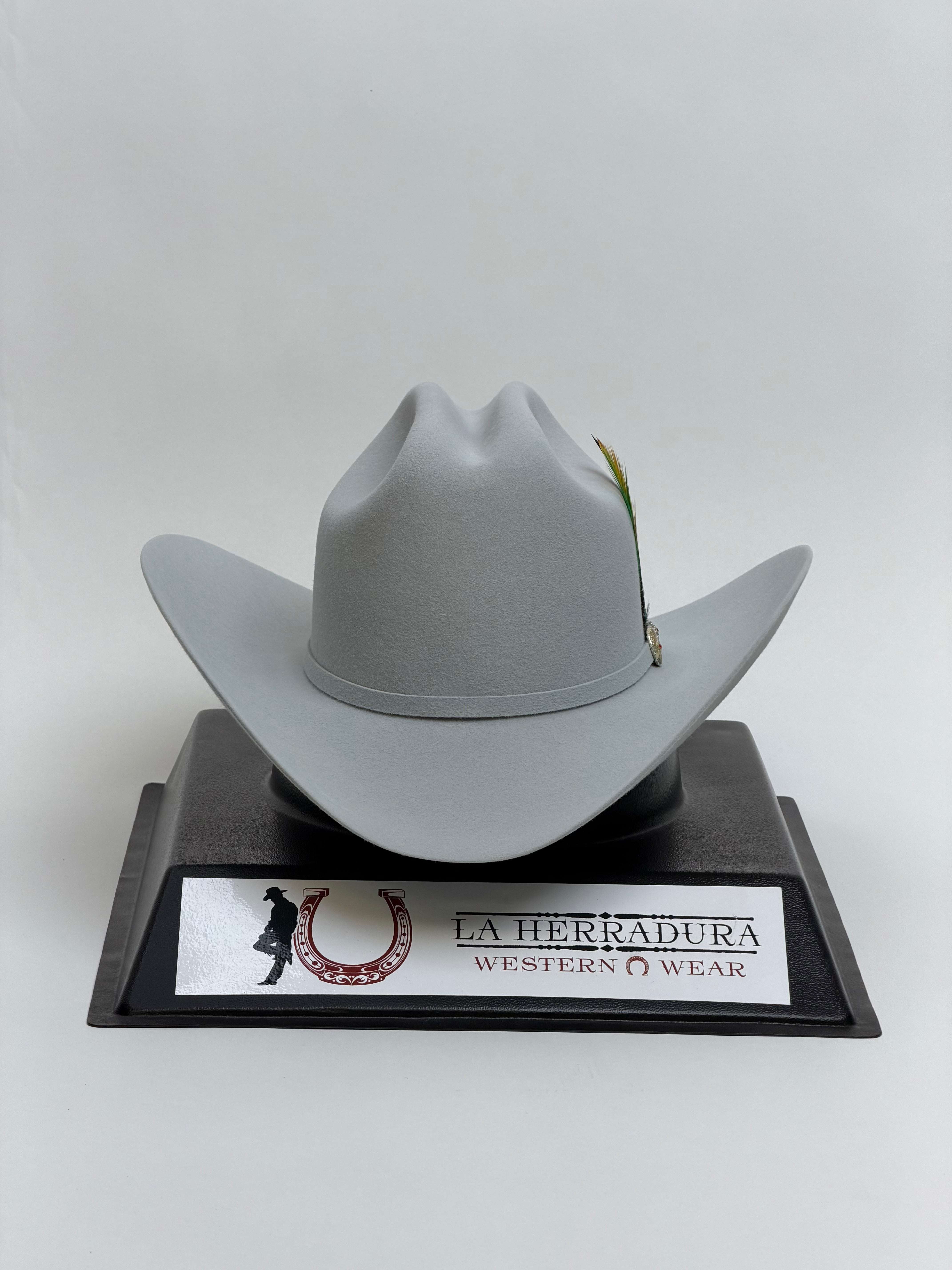 LARRY MAHAN´S 6X REAL PLATINUM Laherradurawwnc.com