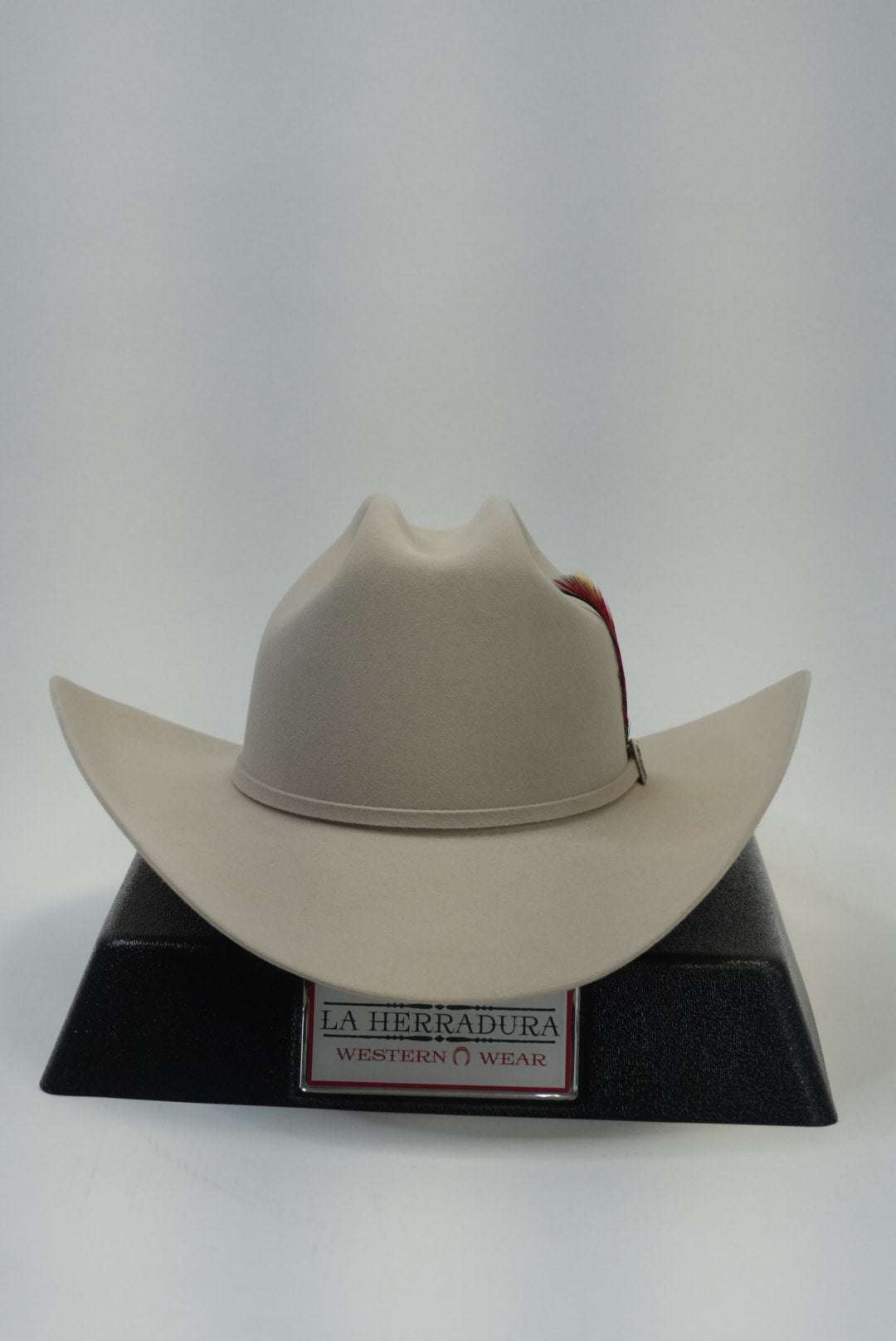 STETSON 6X SKYLINE TRADICIONAL SILVERBELLY Laherradurawwnc.com