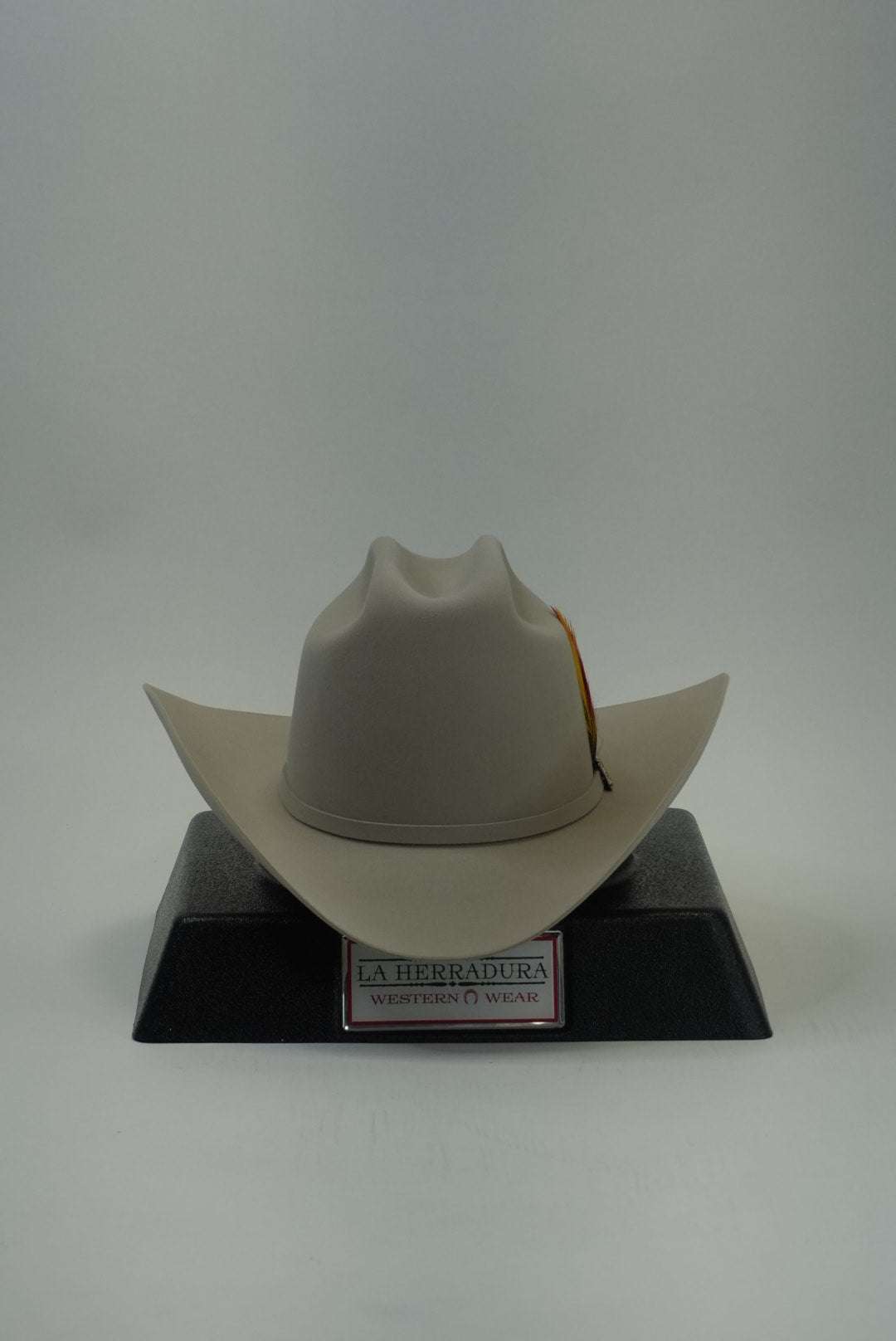 STETSON 30X EL PATRON SILVER BELLY Copa Alta Laherradurawwnc.com