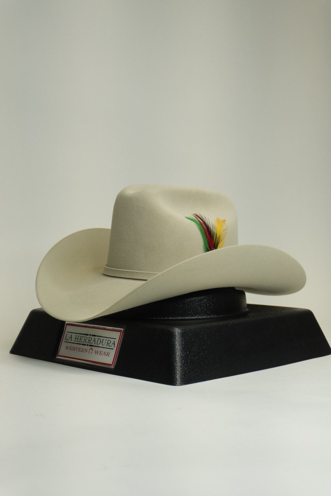 VIENTRE STETSON 10X SHASTA PLATA