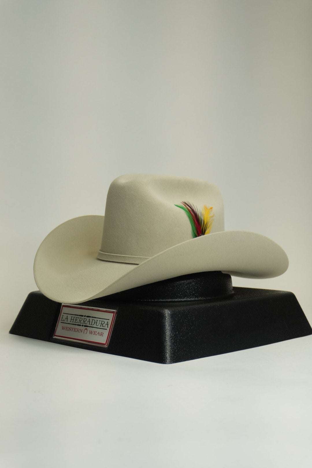 STETSON 10X SHASTA SILVER BELLY Laherradurawwnc.com
