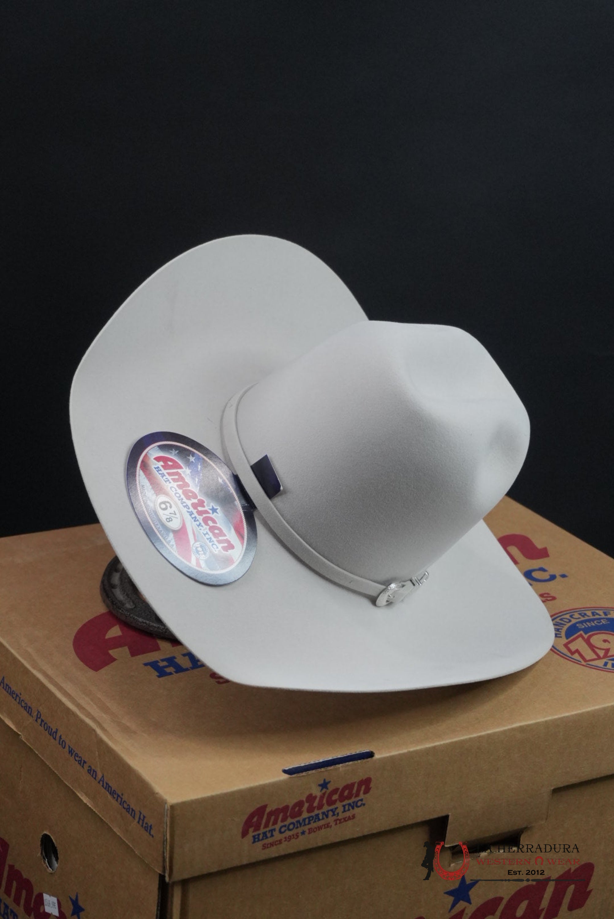 7X American Felt Hat Silver Sand TEJANA