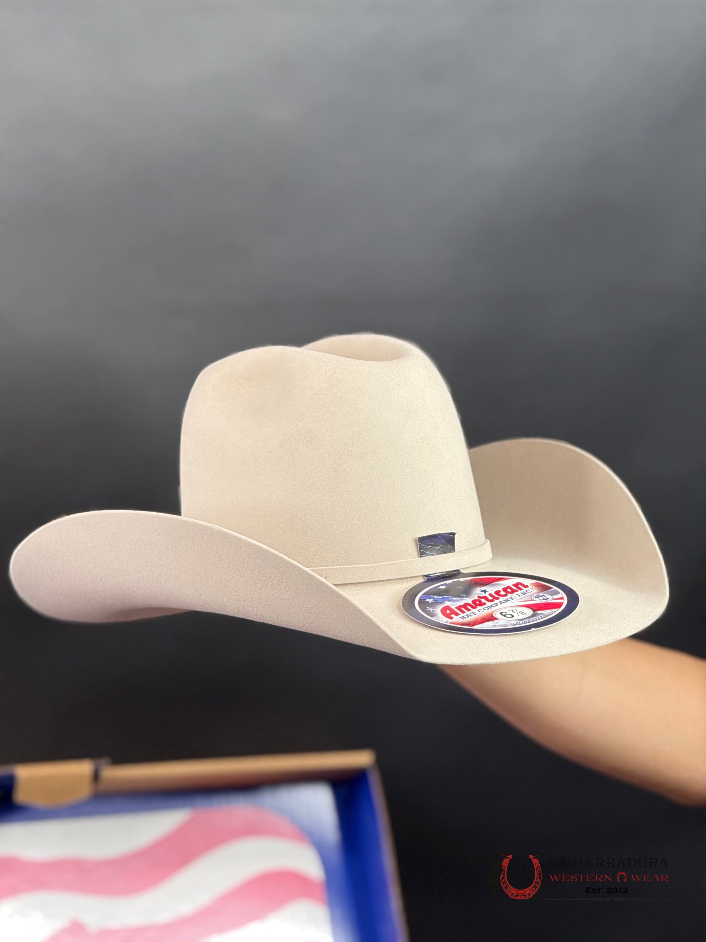 7X American Felt Silver Belly TEJANA