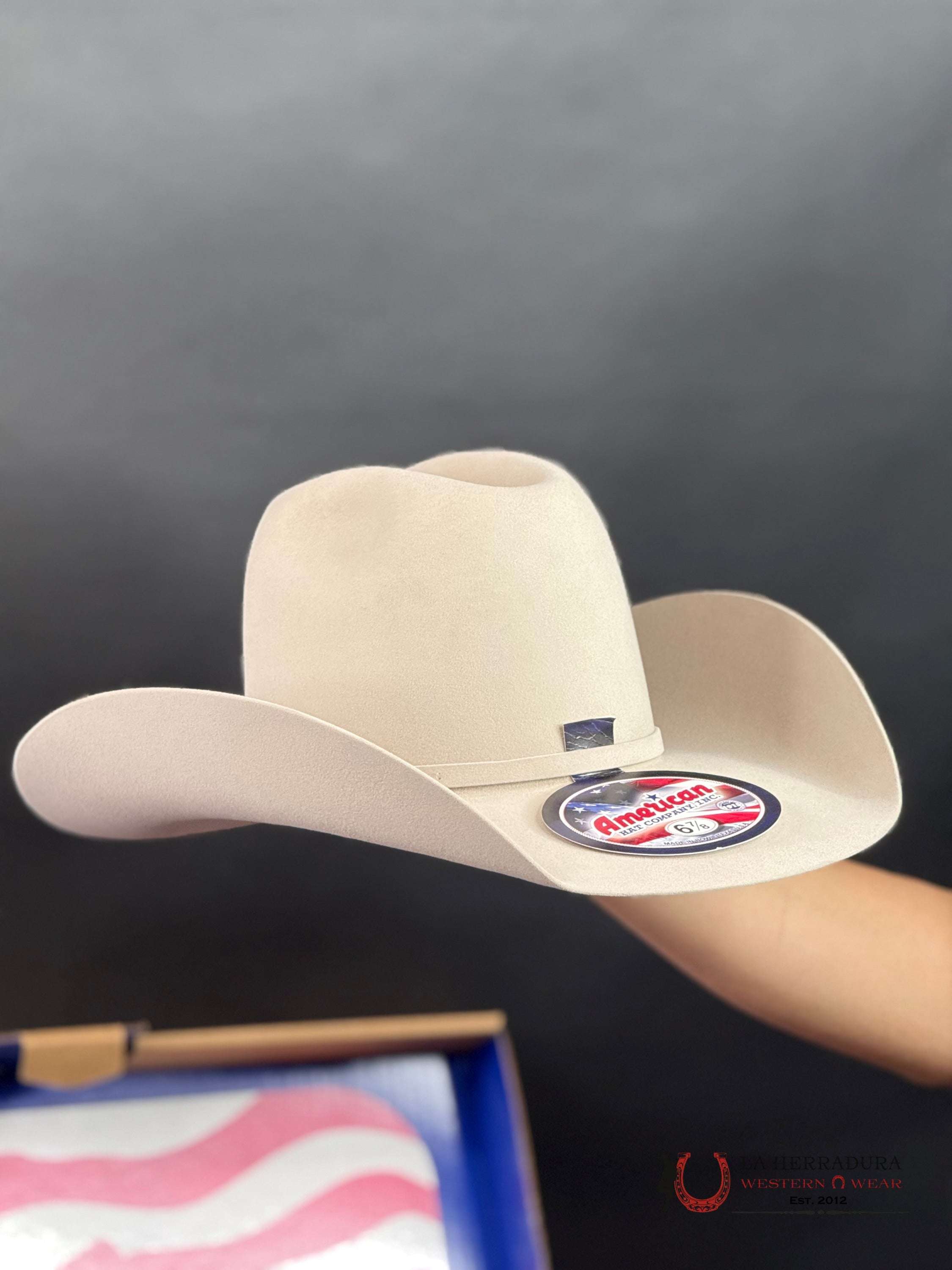 7X American Felt Silver Belly TEJANA