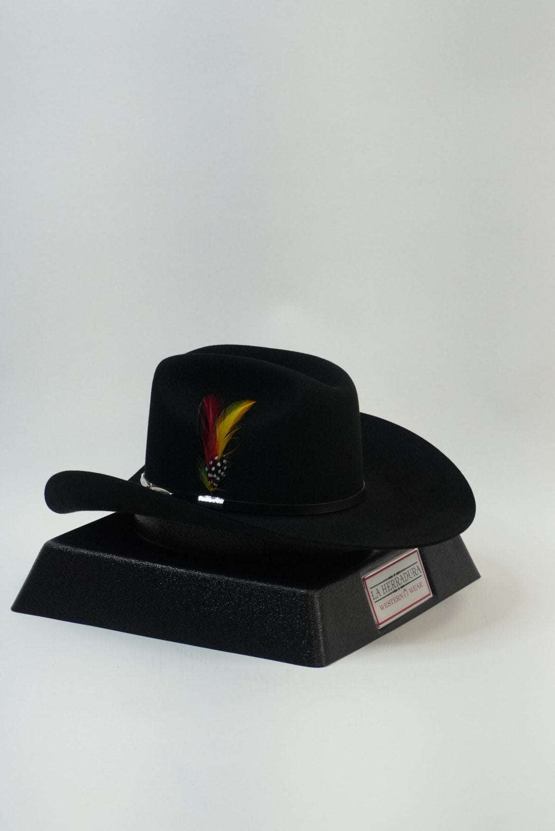 STETSON 6X DEL NORTE BLACK Laherradurawwnc.com