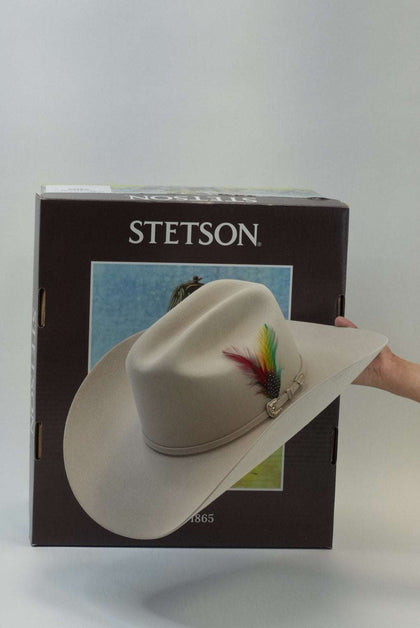 STETSON 6X SKYLINE TRADICIONAL SILVERBELLY