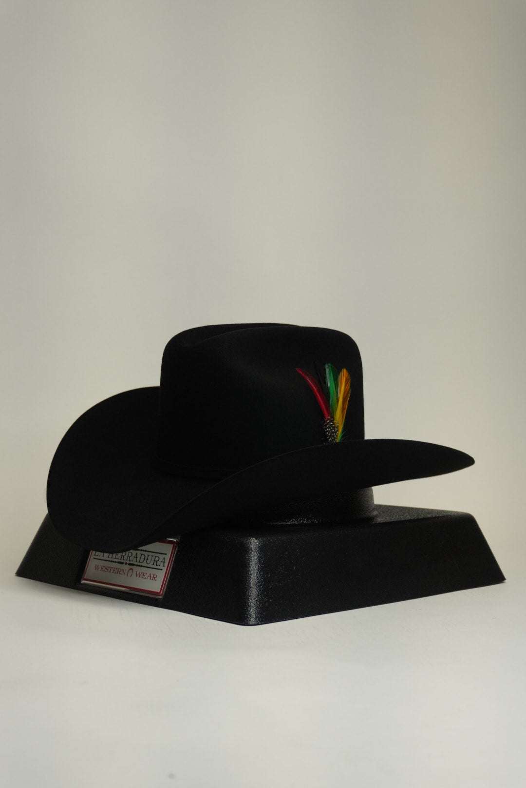 STETSON 10X SHASTA BLACK Copa Chica Laherradurawwnc.com