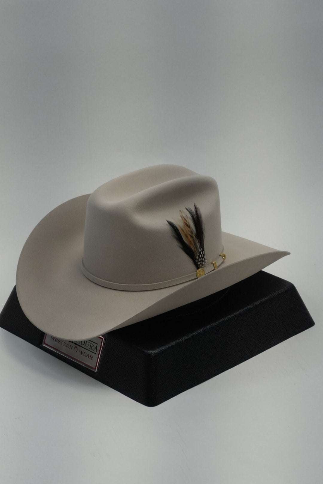 STETSON EL PRESIDENTE 100X SILVER BELLY COPA CHICA Laherradurawwnc.com