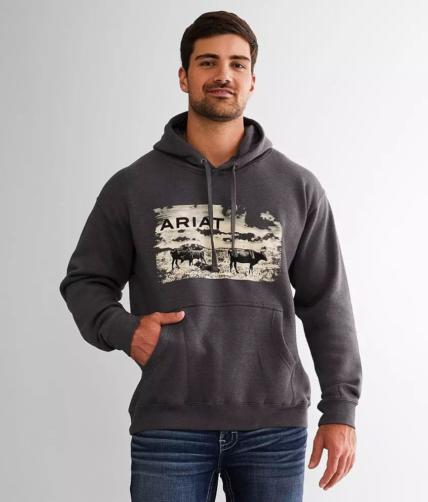 ARIAT MAN HOODIE PASTURES SWTSHRT CHARCOAL HEATHER 10041728