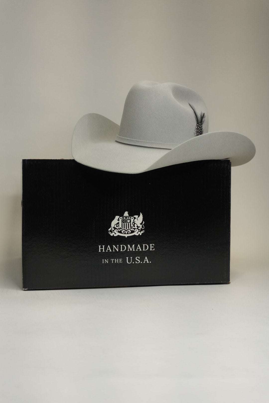 STETSON 10X SHASTA MIST GREY Laherradurawwnc.com
