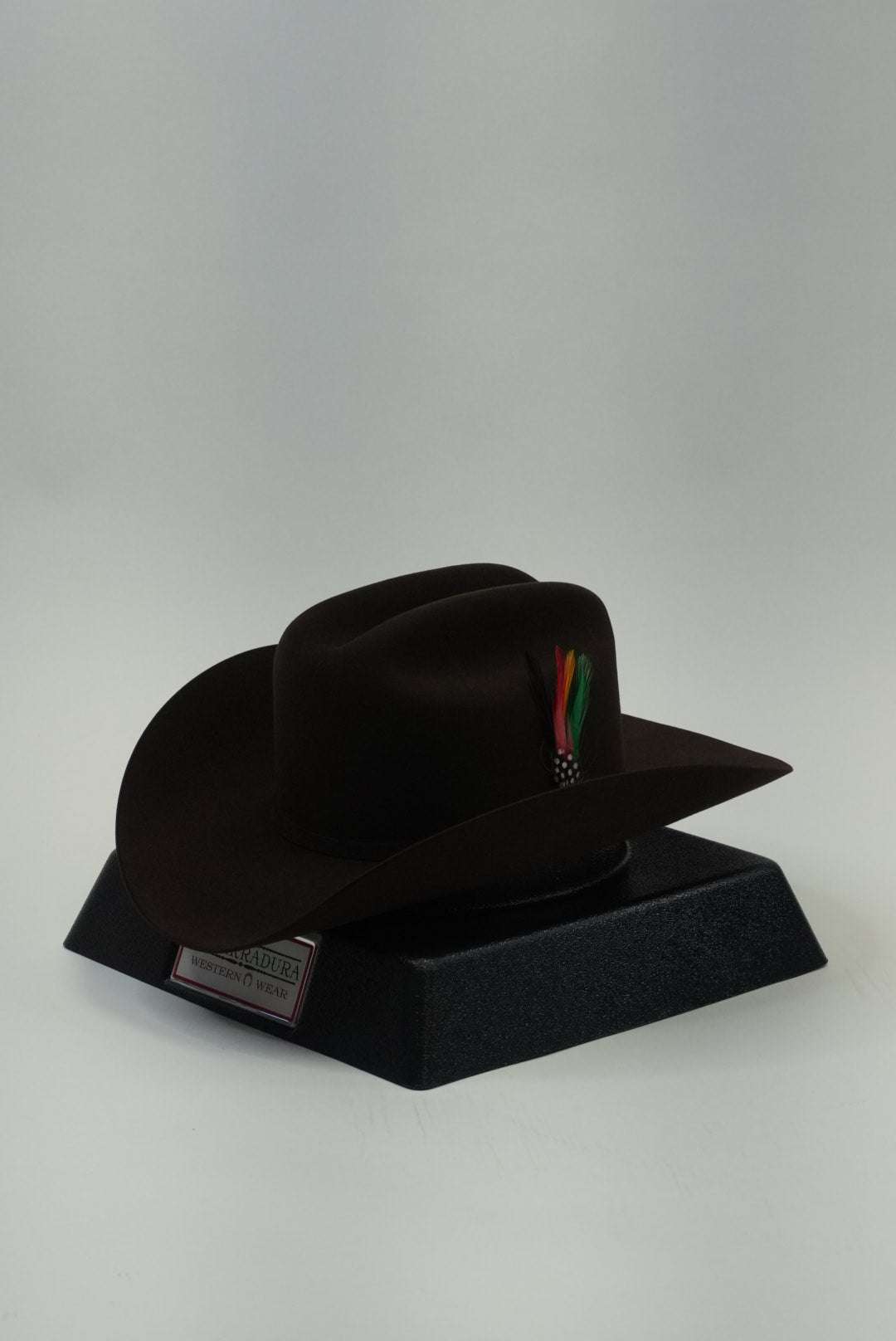 STETSON 30X EL PATRON MOCHA/CHOCOLATE Laherradurawwnc.com