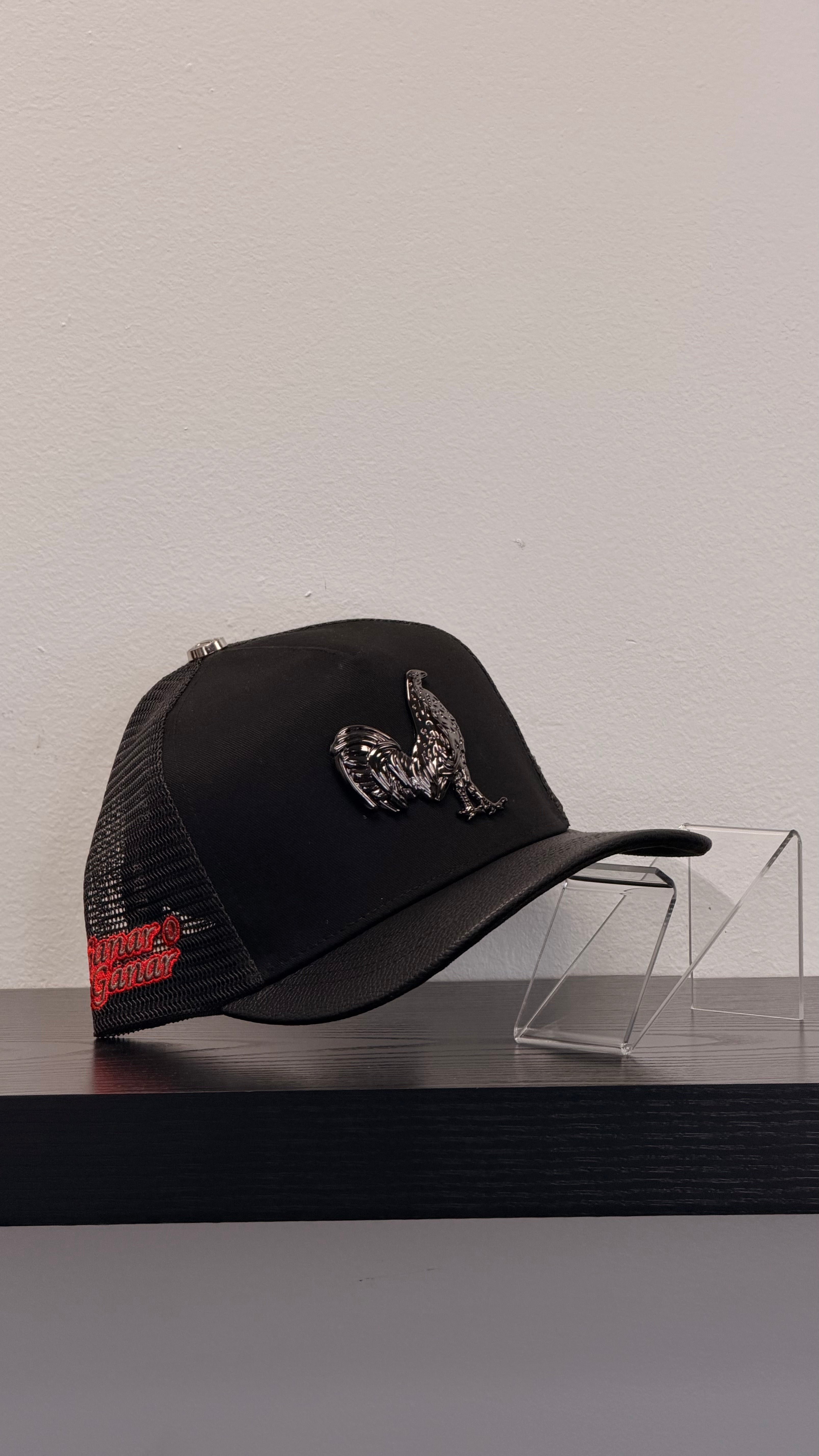 FERRETI MINERVA NEW FT83M