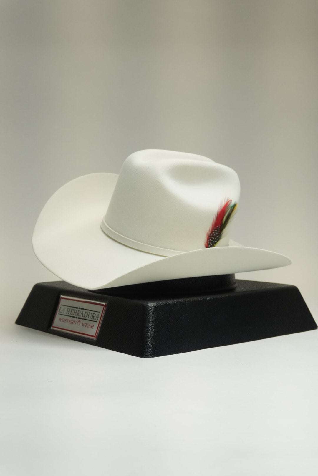 STETSON 10X SHASTA WHITE Laherradurawwnc.com