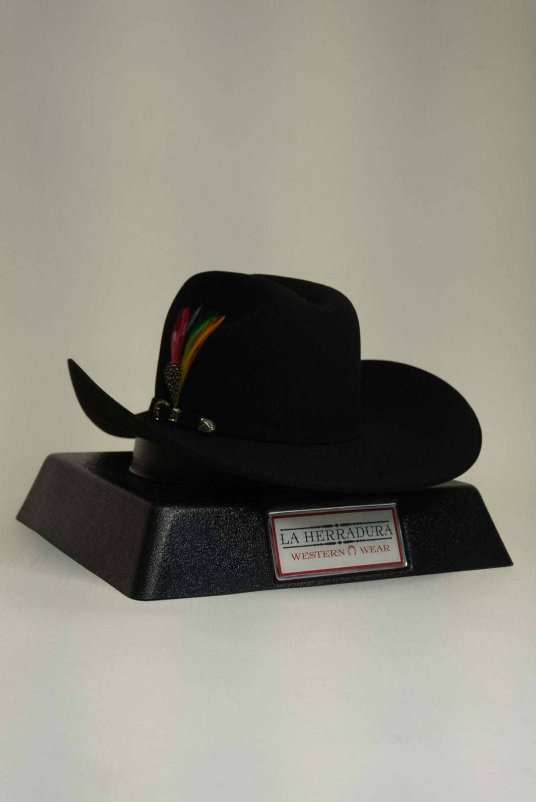 STETSON 10X SHASTA BLACK Copa Chica Laherradurawwnc.com