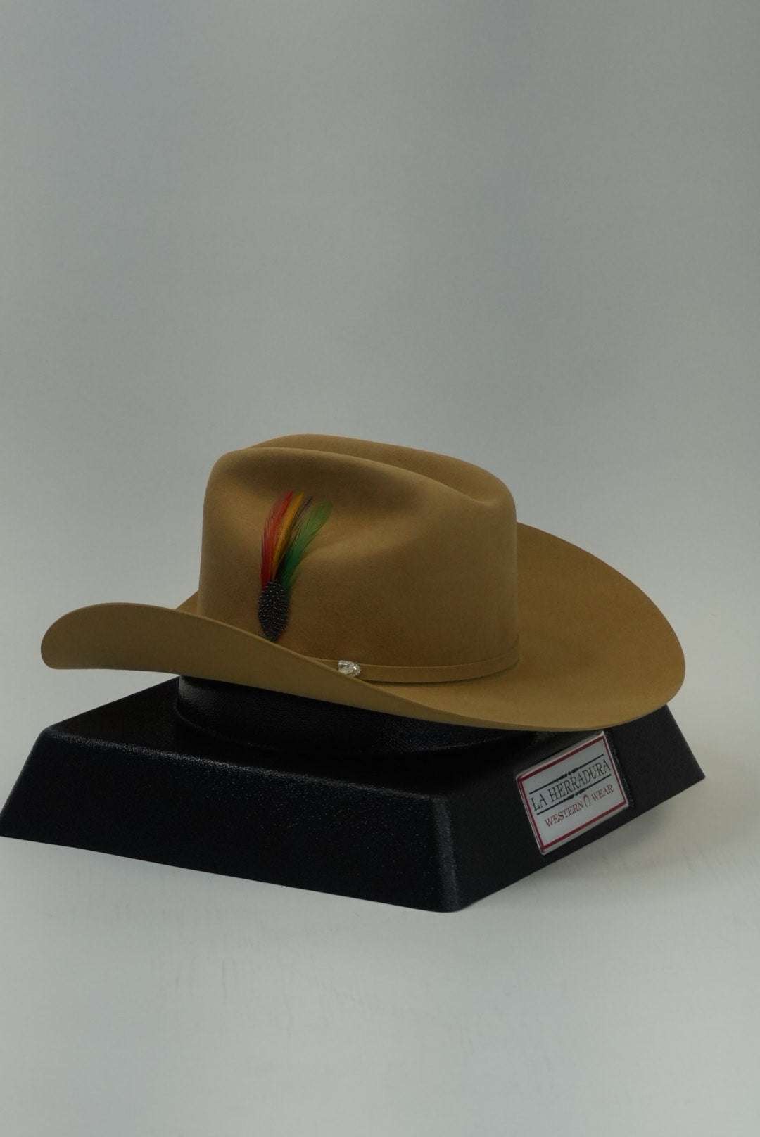 STETSON 10X SHASTA BUTTERSCOTCH Laherradurawwnc.com
