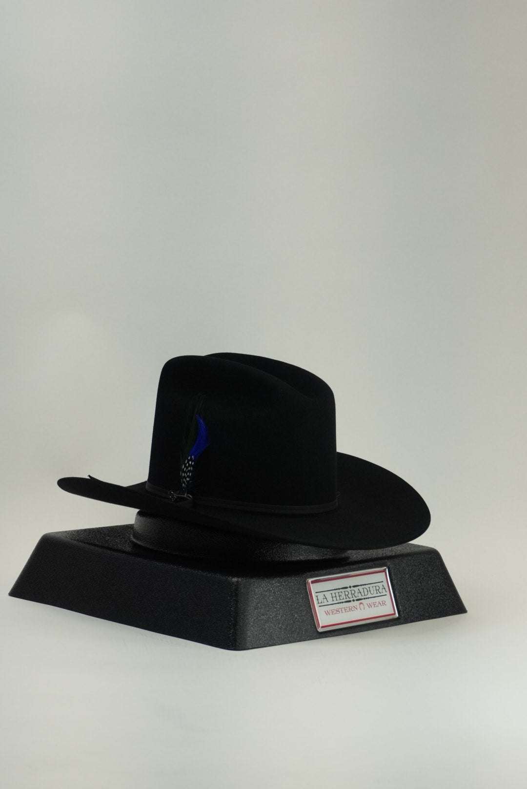 STETSON 6X RANCHER BLACK Laherradurawwnc.com