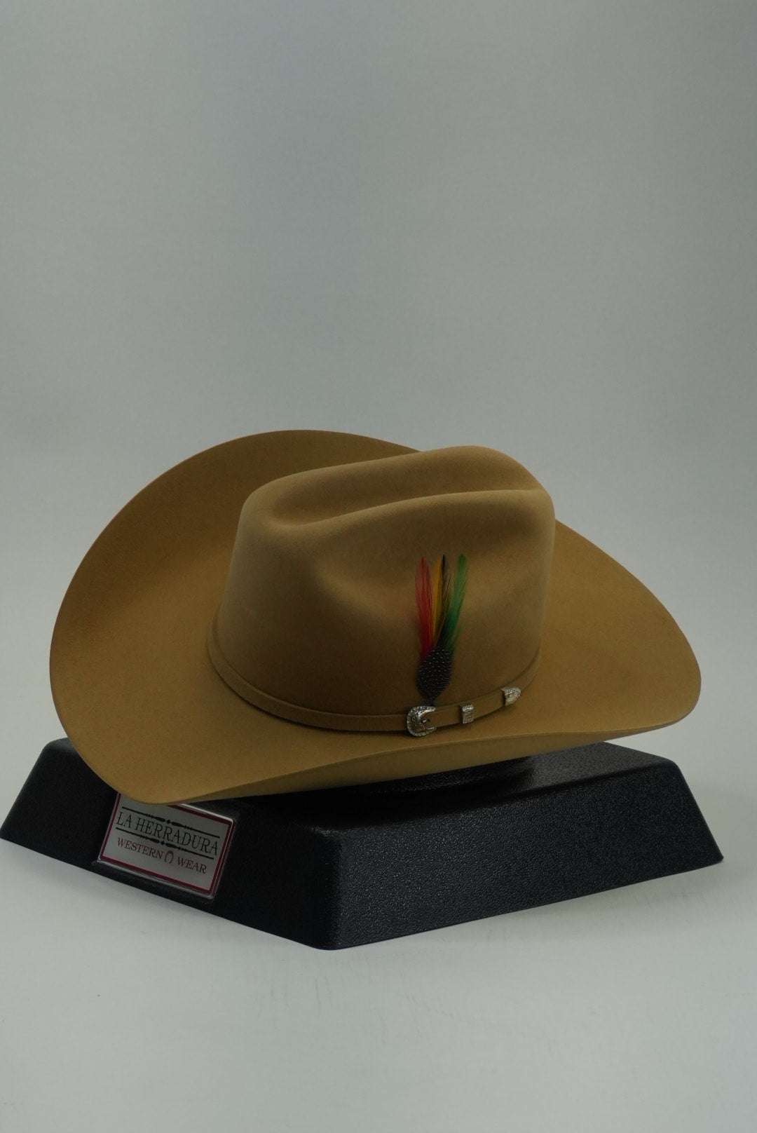 STETSON 10X SHASTA BUTTERSCOTCH Laherradurawwnc.com