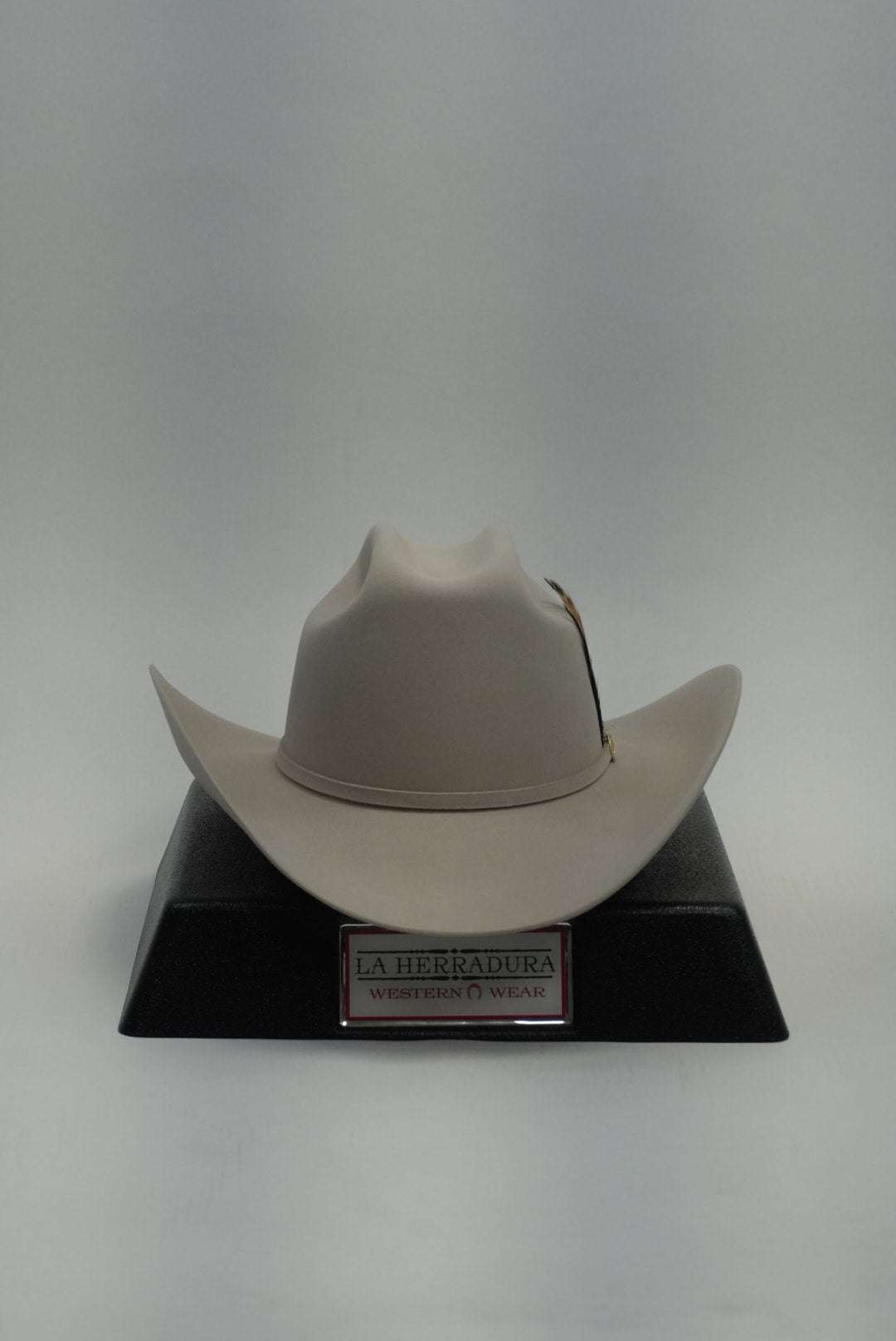 STETSON EL PRESIDENTE 100X SILVER BELLY COPA CHICA Laherradurawwnc.com