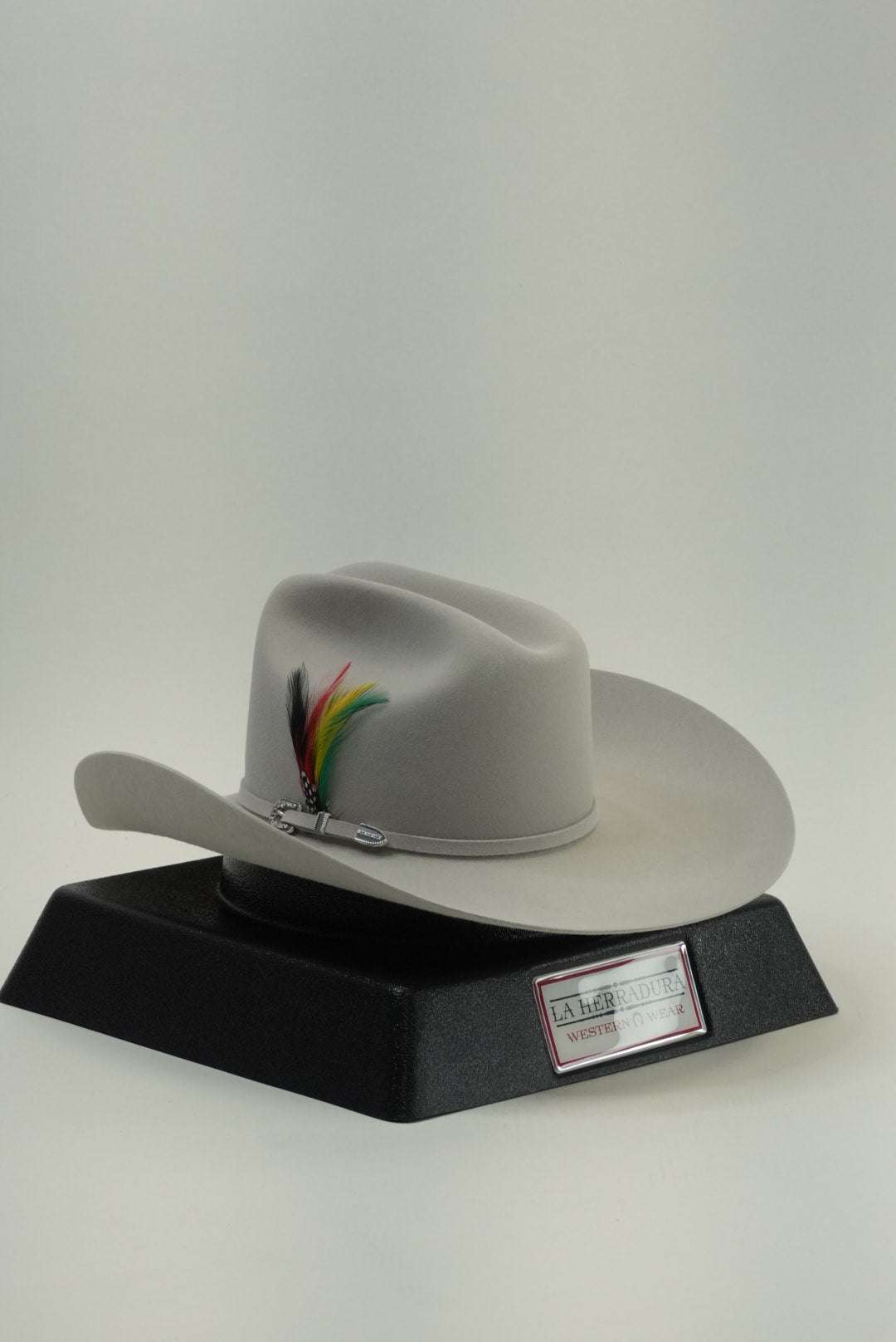 STETSON 6X SKYLINE TRADICIONAL SILVER GREY Laherradurawwnc.com