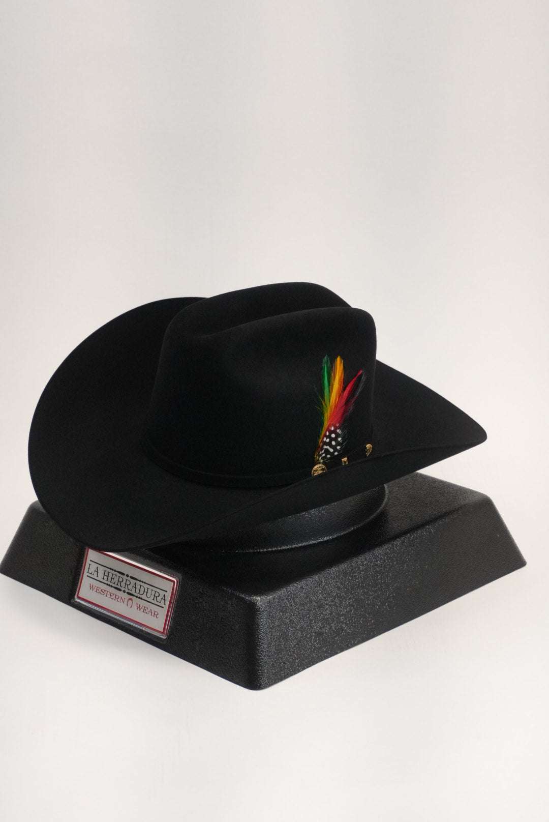 STETSON EL PRESIDENTE 100X BLACK/NEGRO COPA CHICA Laherradurawwnc.com